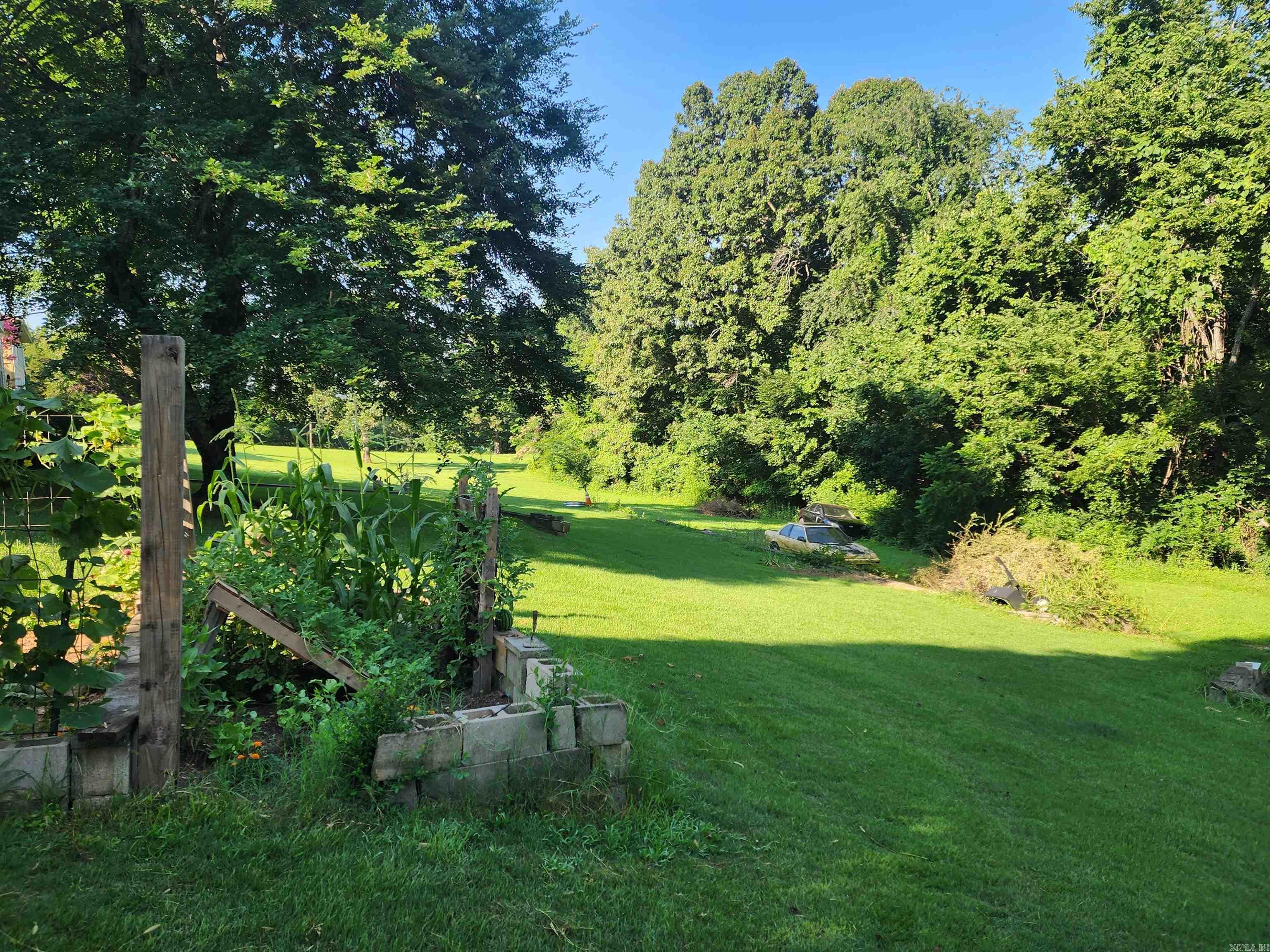 458 Tutt  Yellville, AR
