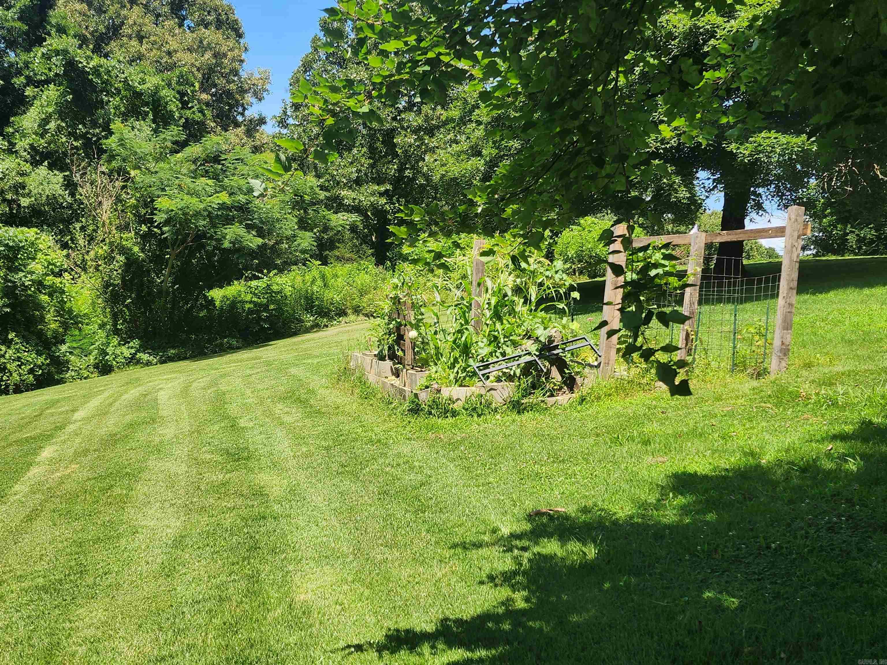 458 Tutt Place Yellville, AR 72687