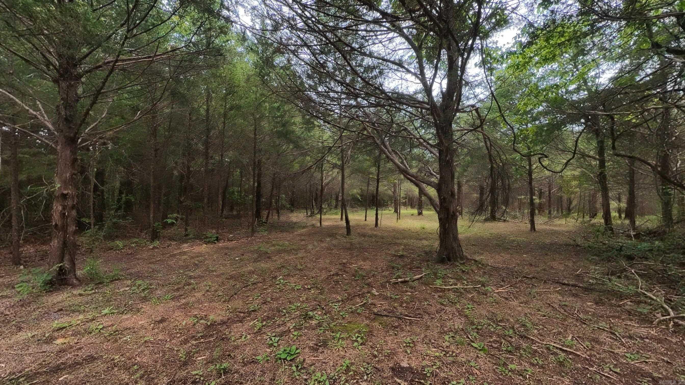 3261 N Camp Creek  Camp, AR