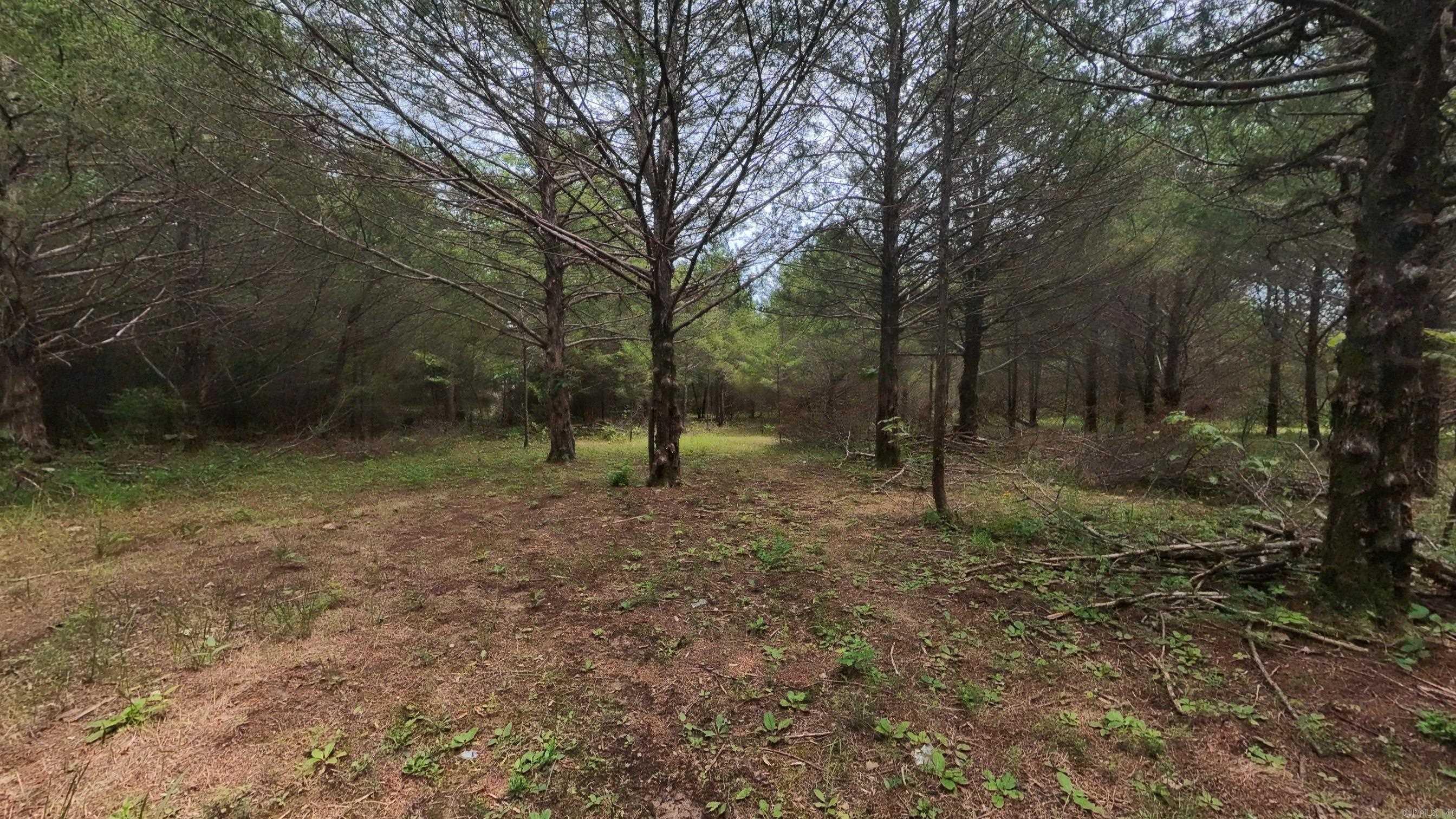 3261 N Camp Creek  Camp, AR