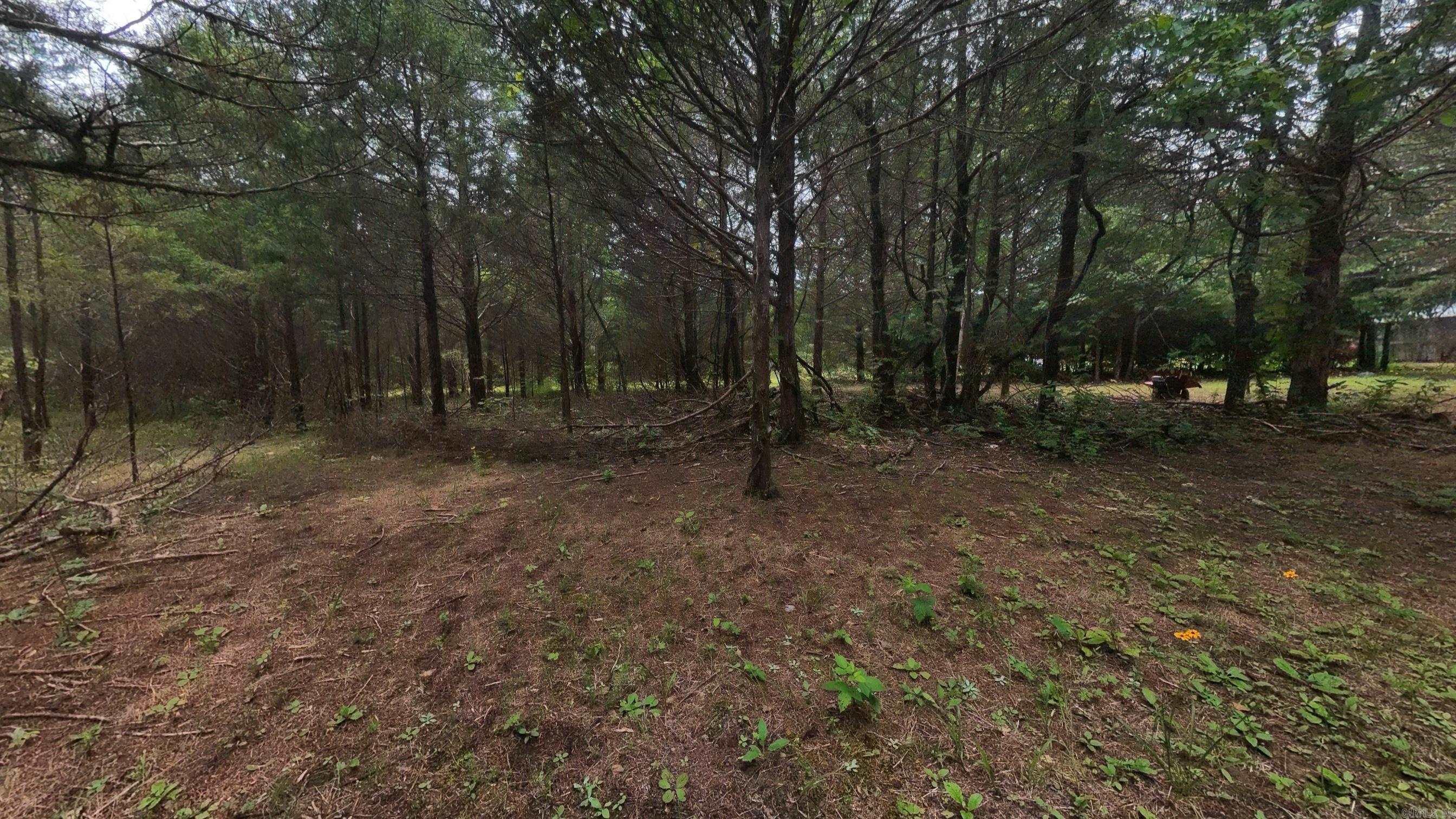 3261 N Camp Creek  Camp, AR