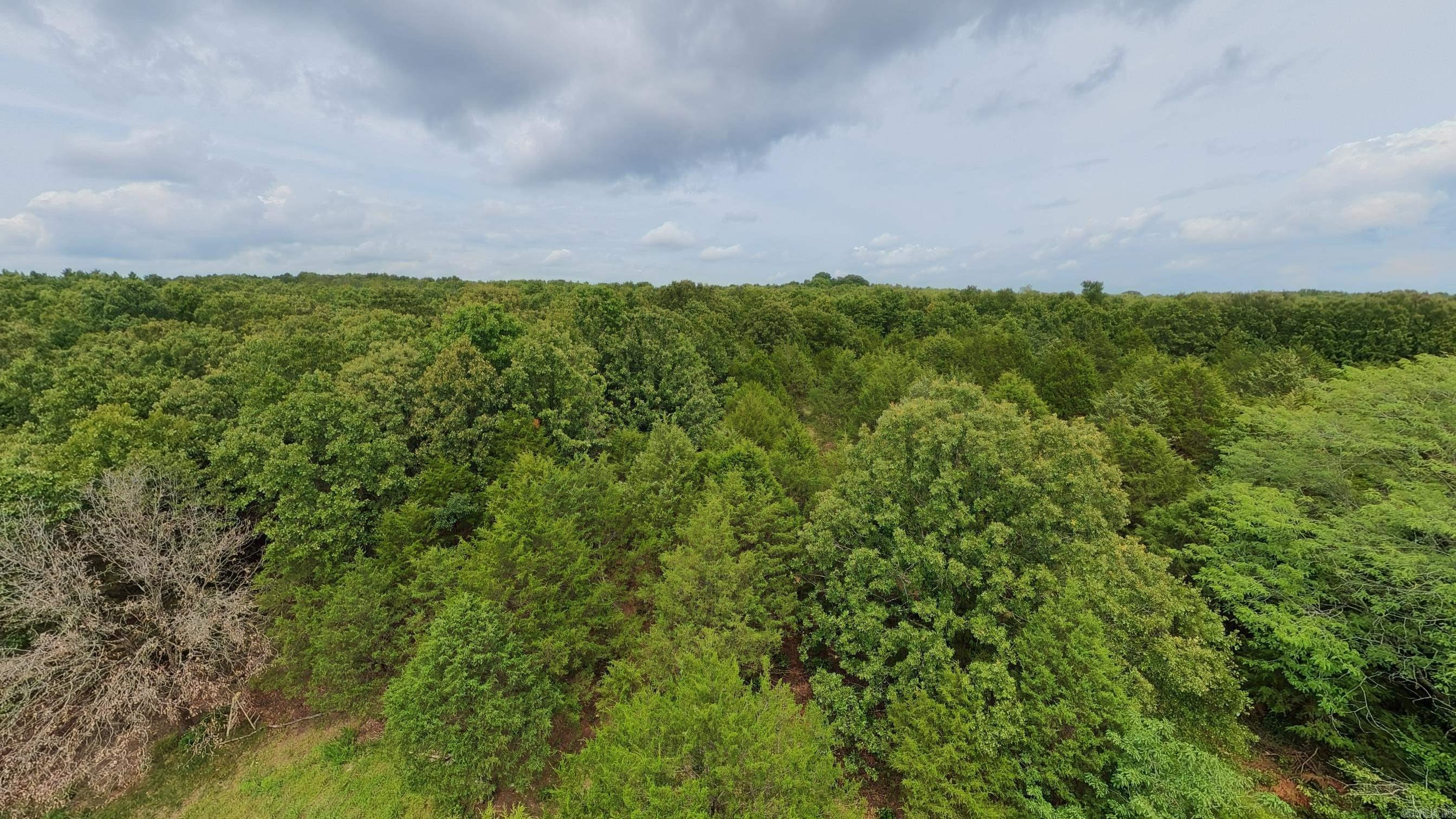 3261 N Camp Creek  Camp, AR