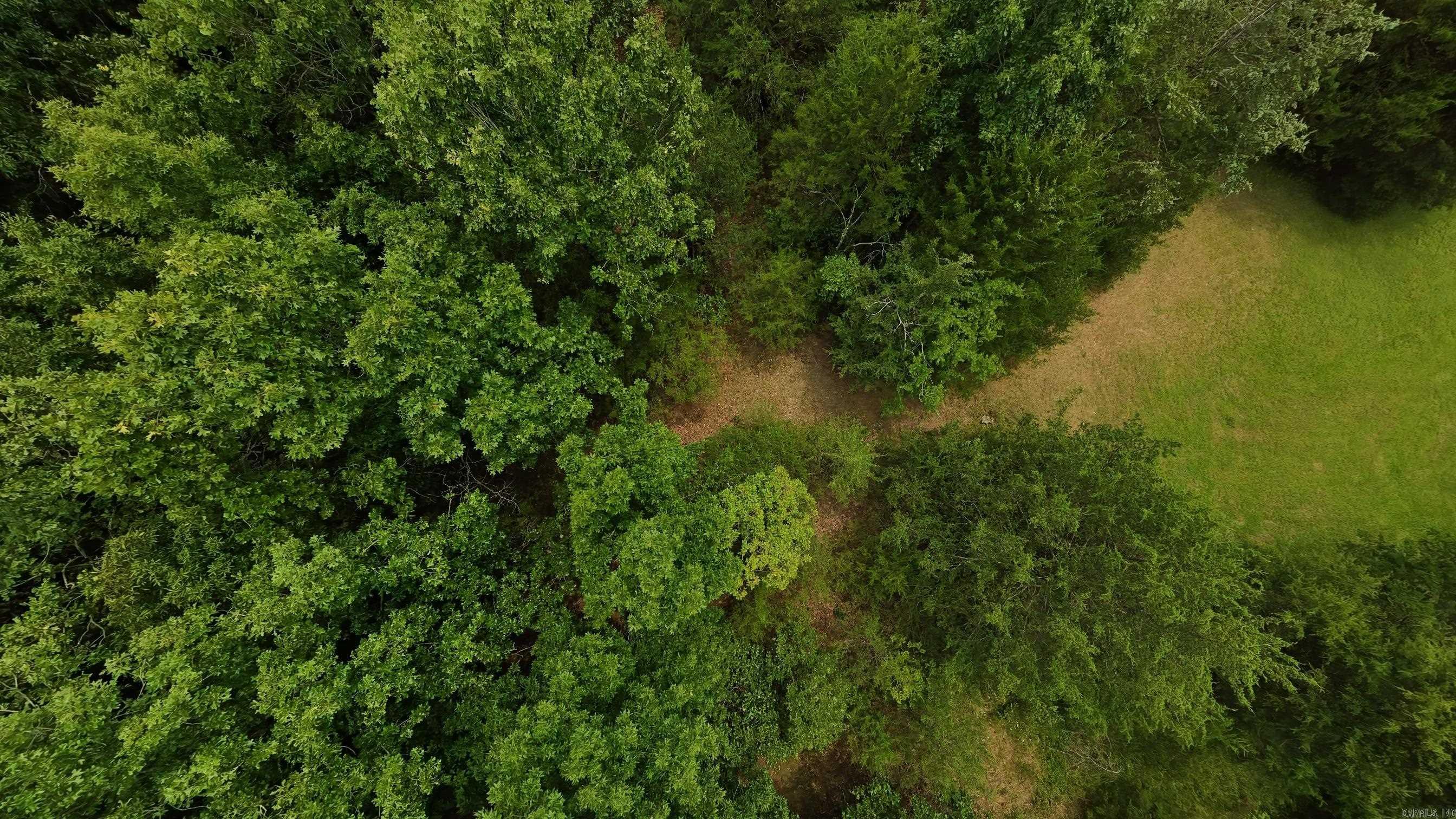 3261 N Camp Creek  Camp, AR