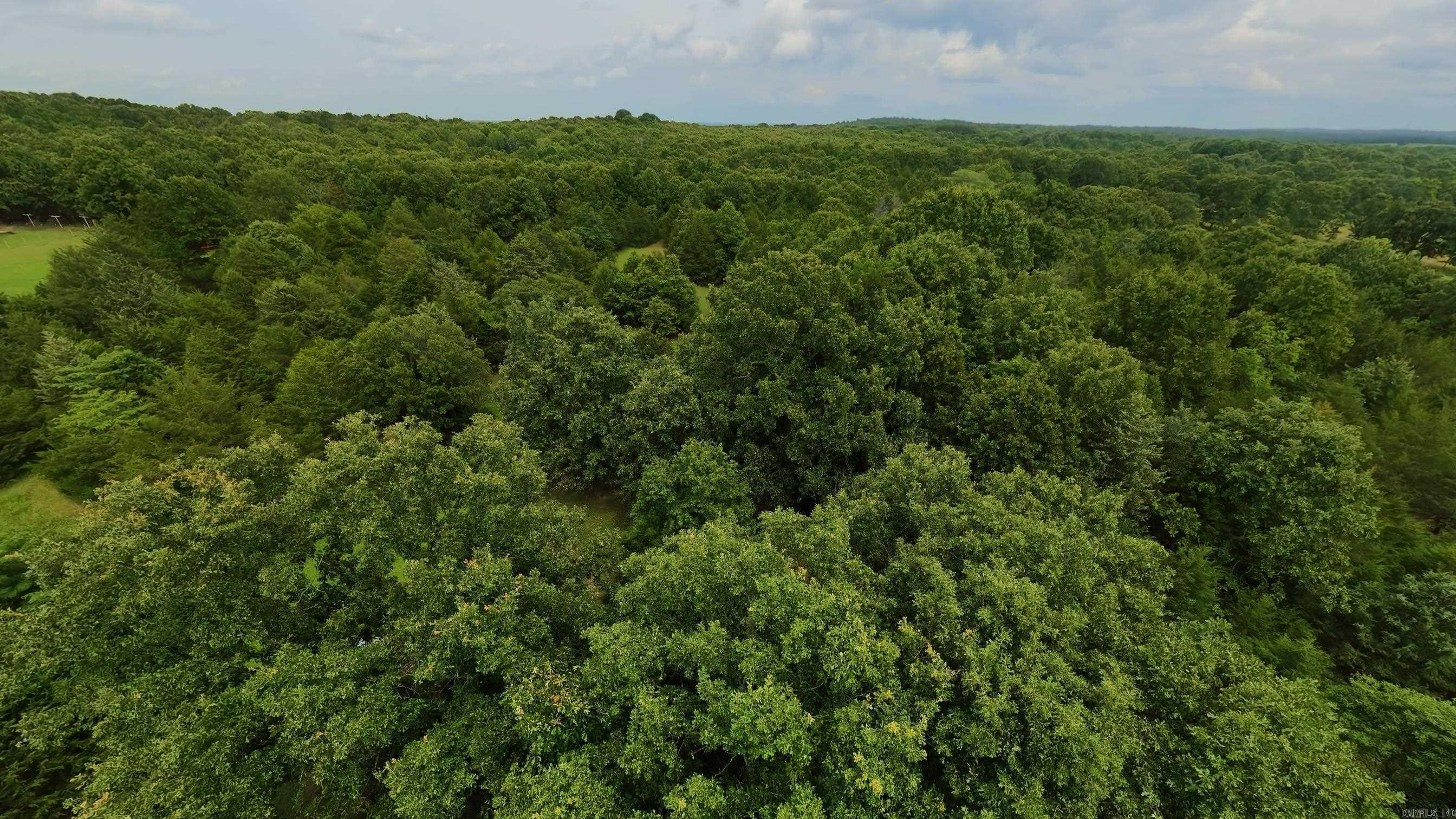 3261 N Camp Creek  Camp, AR