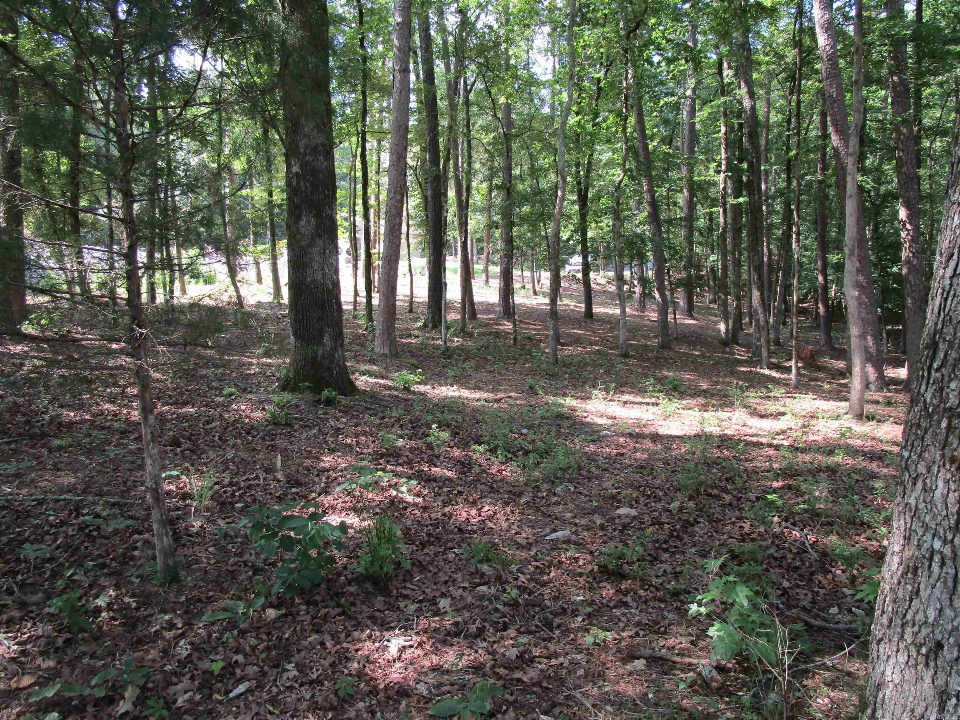 12 Granada  Hot Springs Village, AR