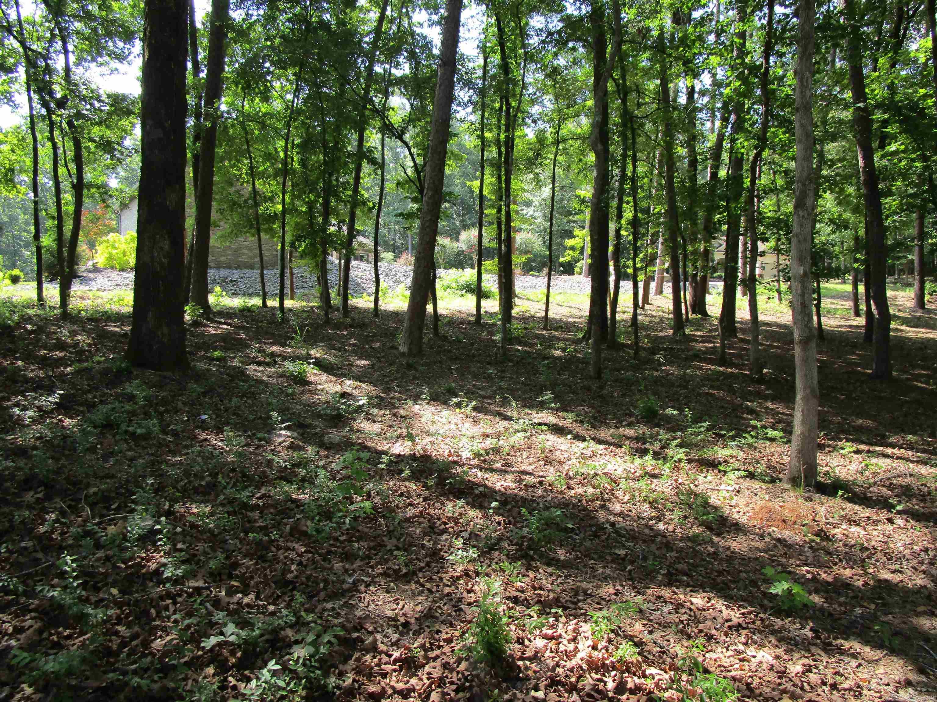 12 Granada  Hot Springs Village, AR