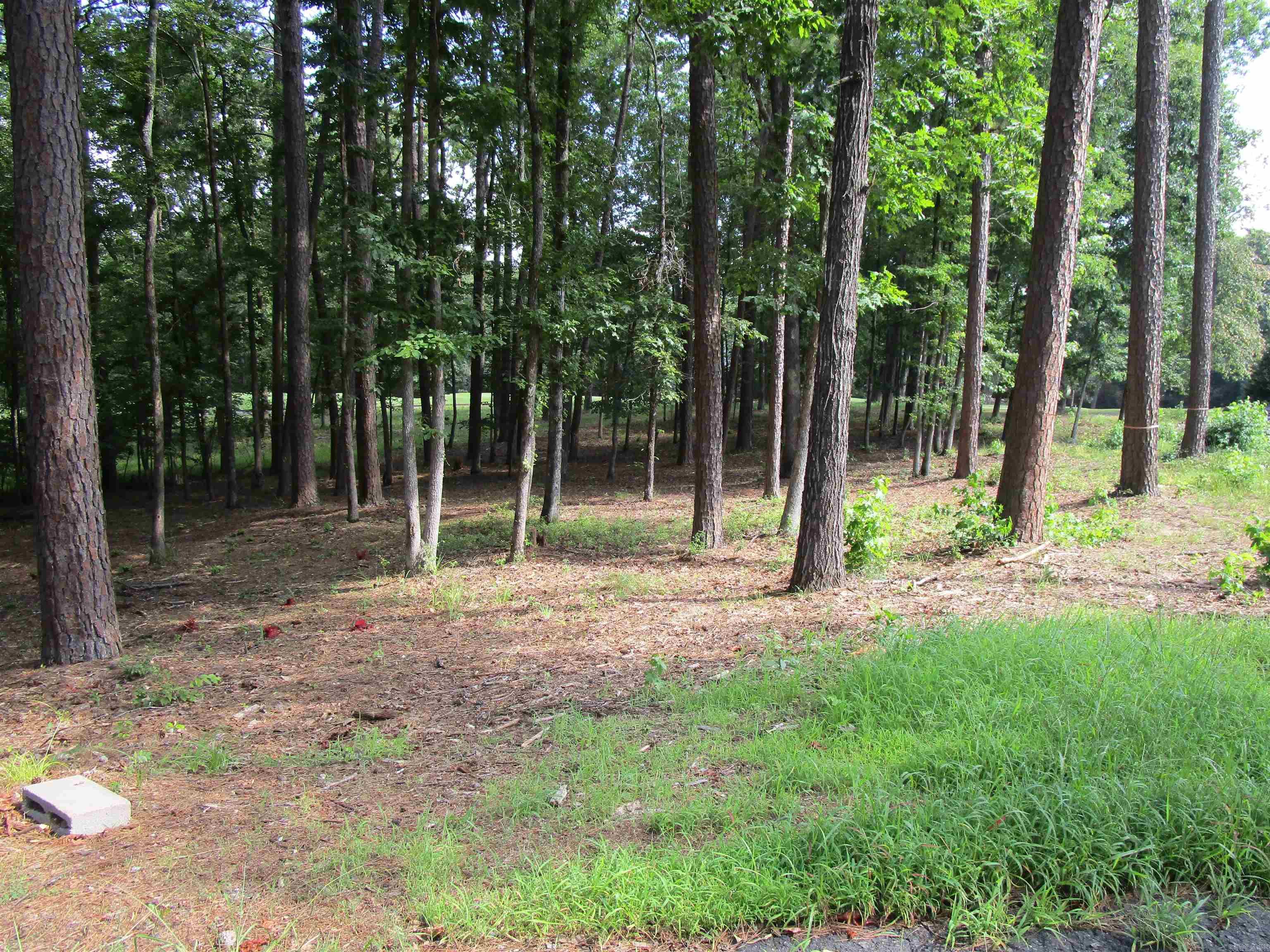 12 Granada  Hot Springs Village, AR