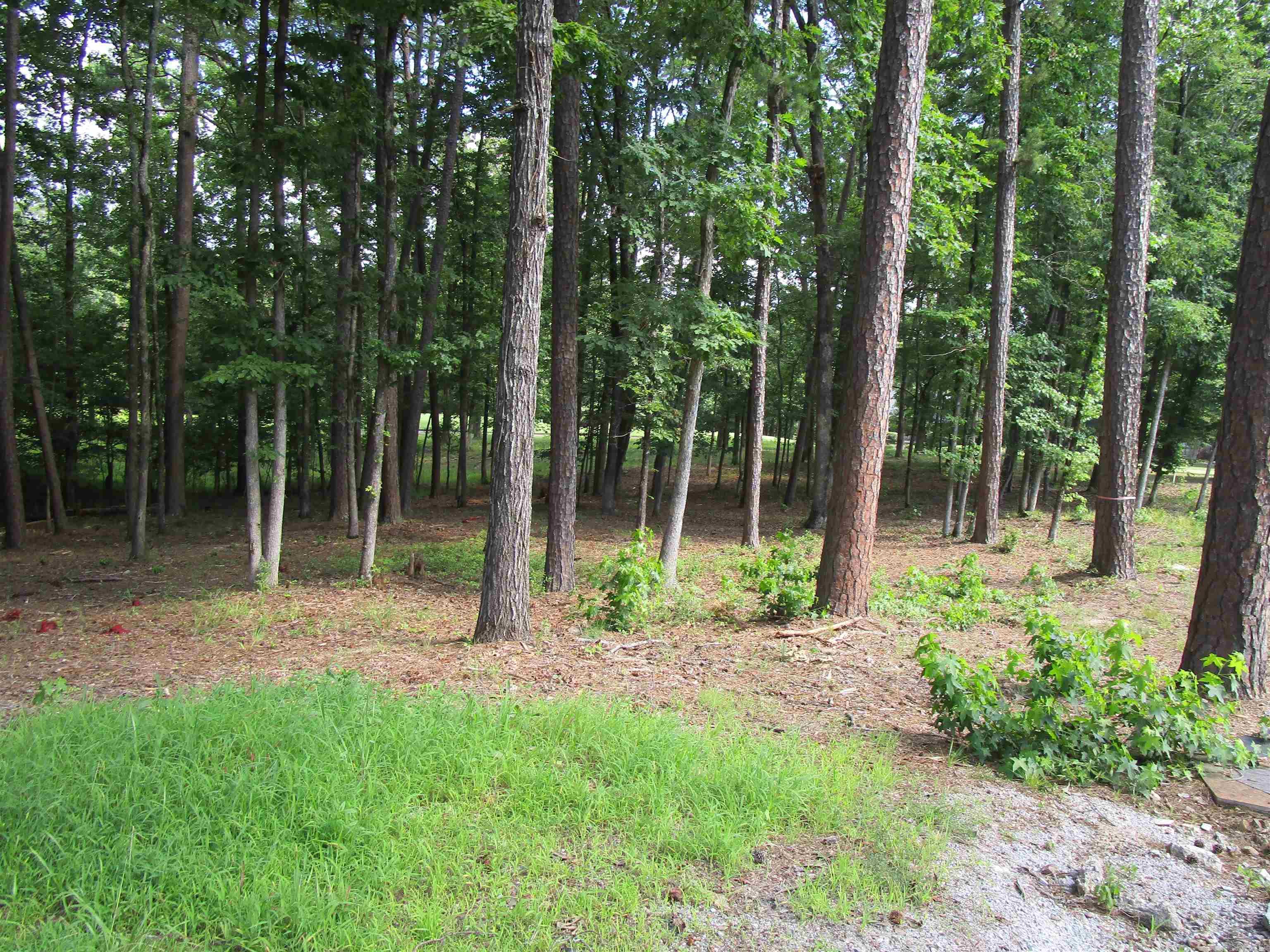 12 Granada  Hot Springs Village, AR
