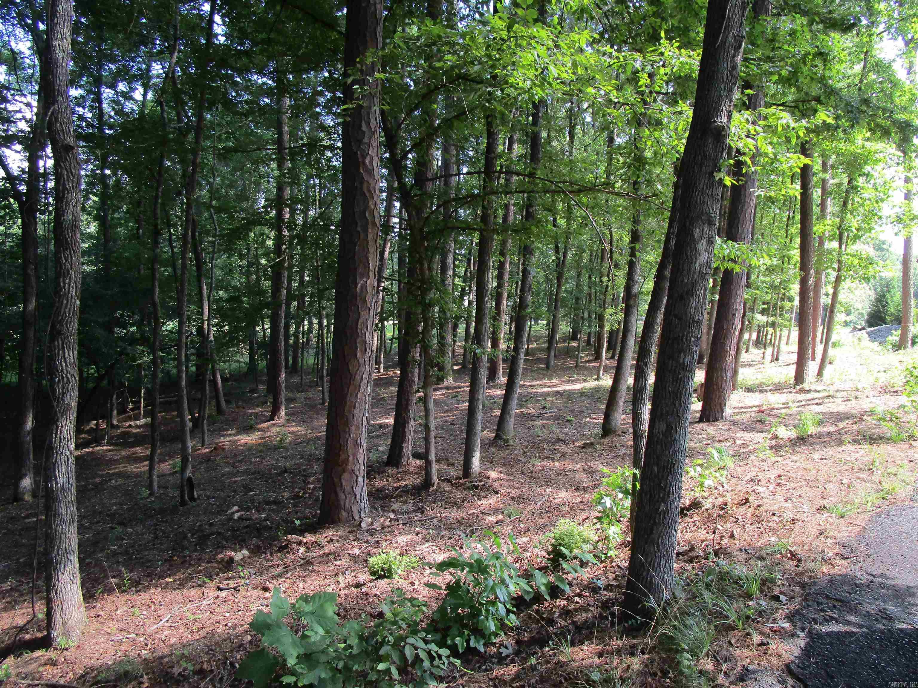 12 Granada  Hot Springs Village, AR