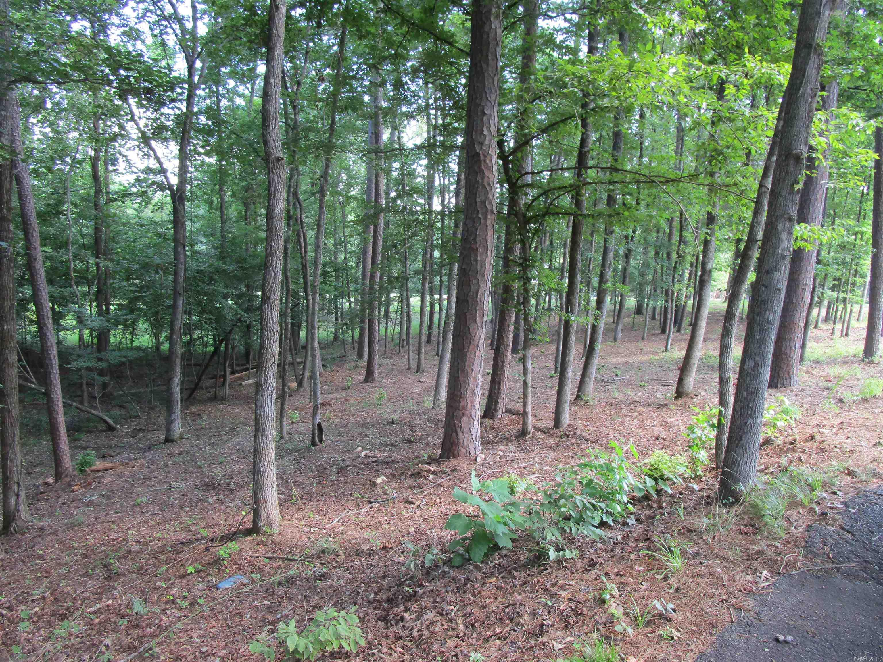 12 Granada  Hot Springs Village, AR