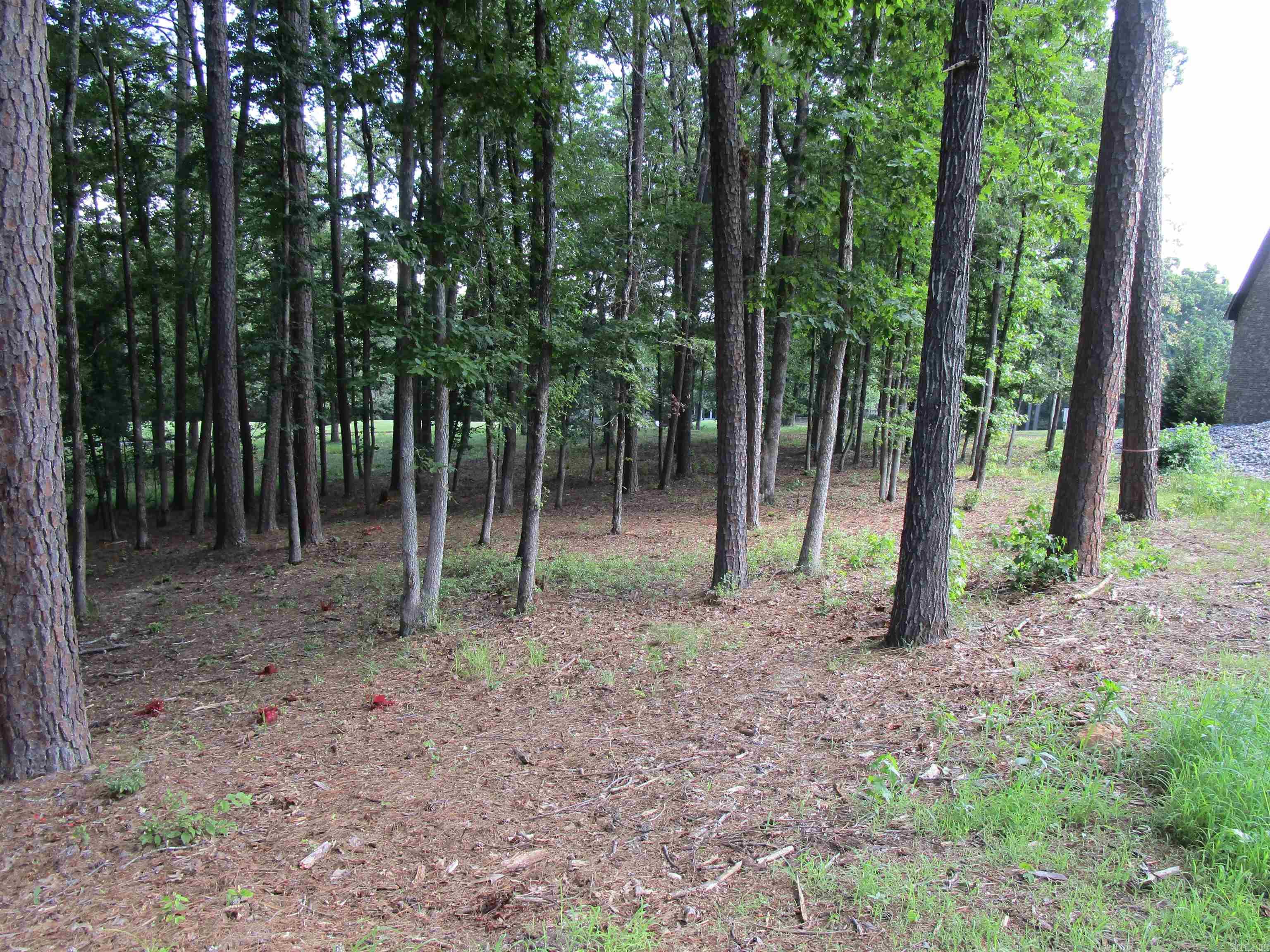 12 Granada  Hot Springs Village, AR