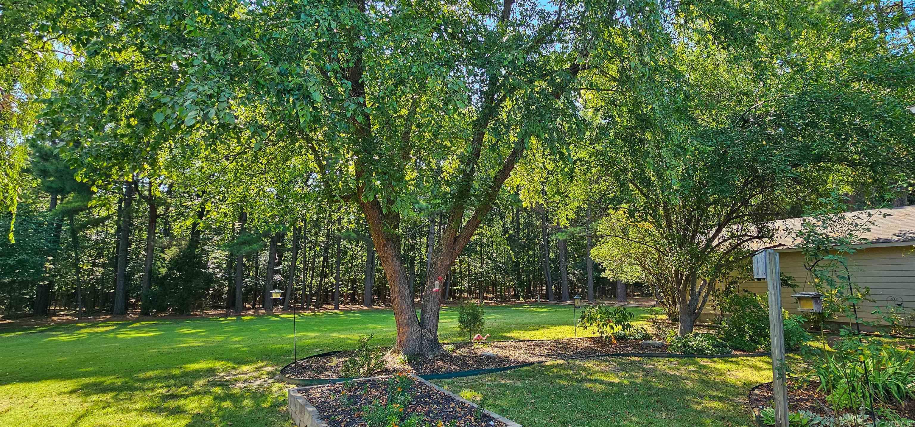 901 Oriole  Jonesboro, AR