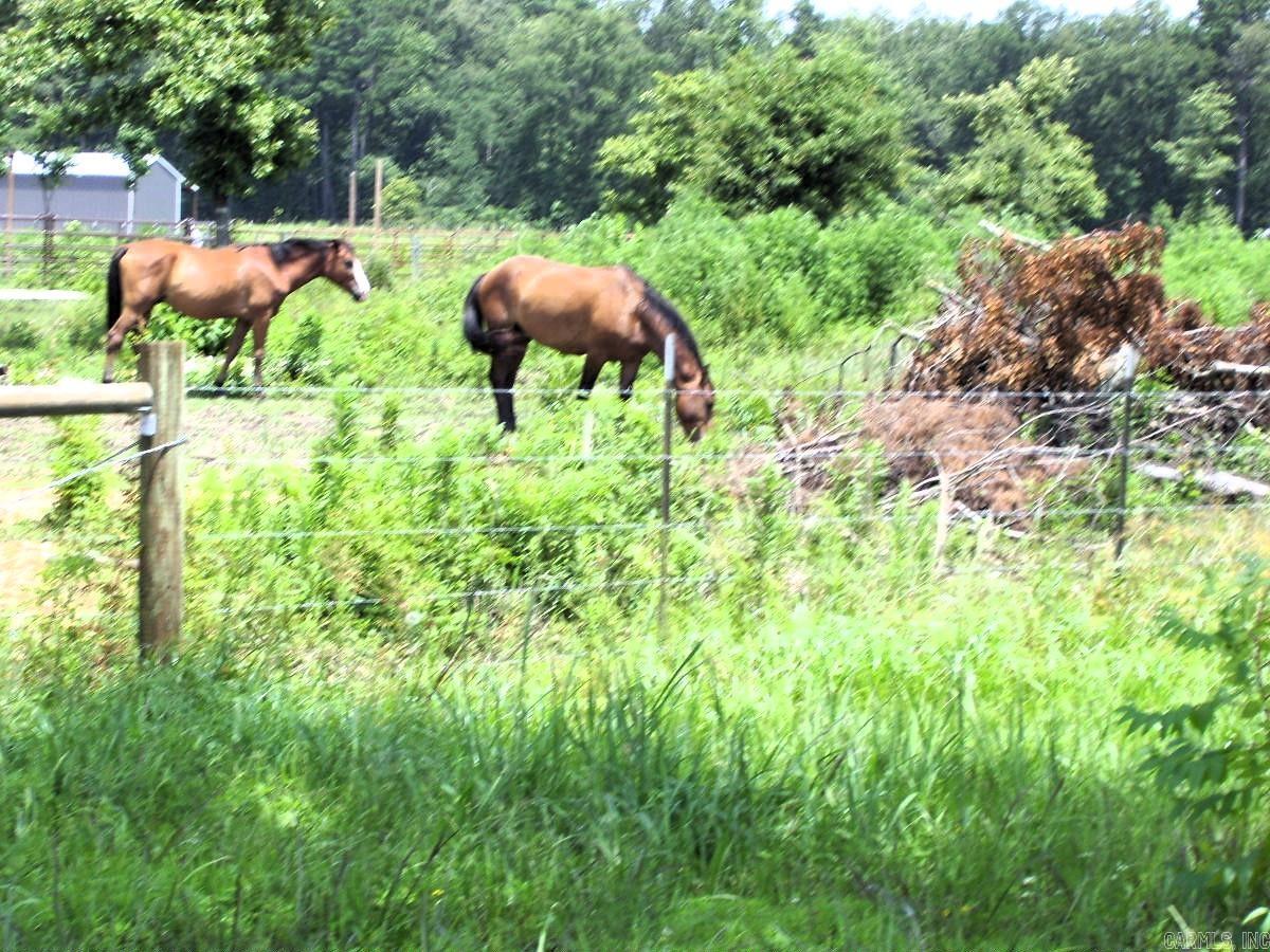 138 Little River 183  Ashdown, AR