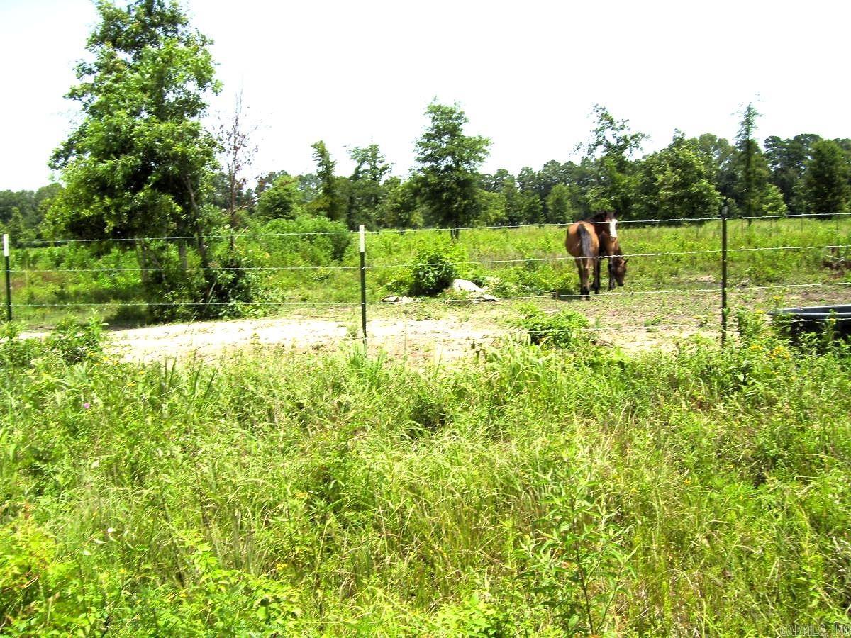 138 Little River 183  Ashdown, AR