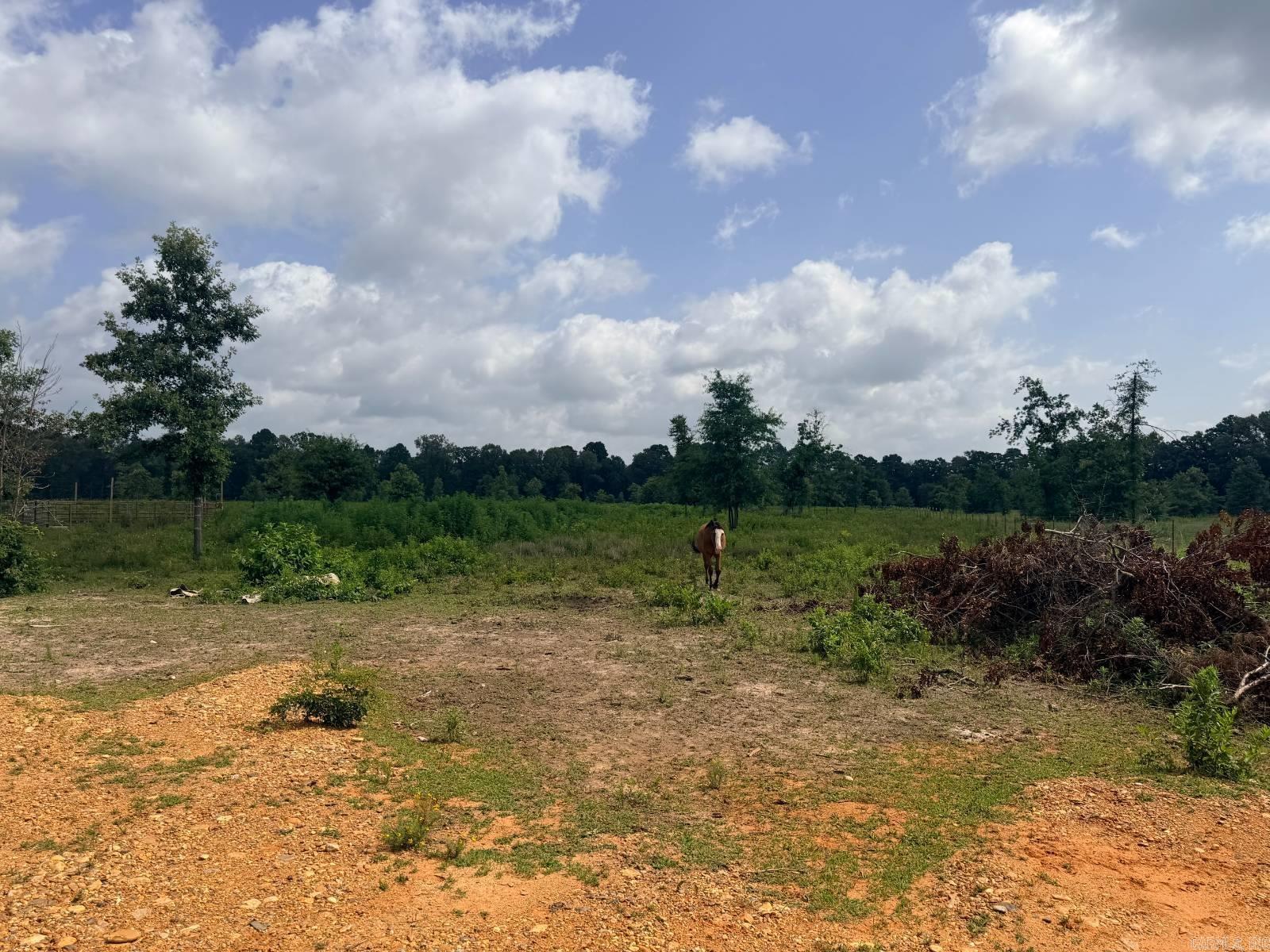 138 Little River 183  Ashdown, AR
