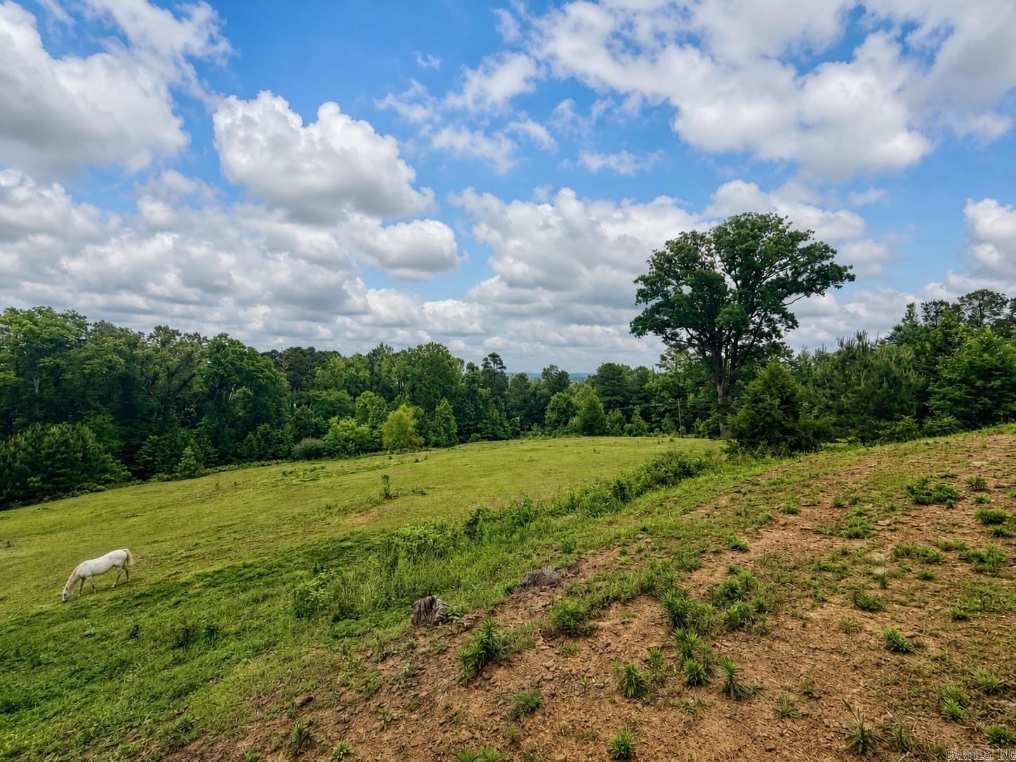 1374 Highway 317  Lockesburg, AR
