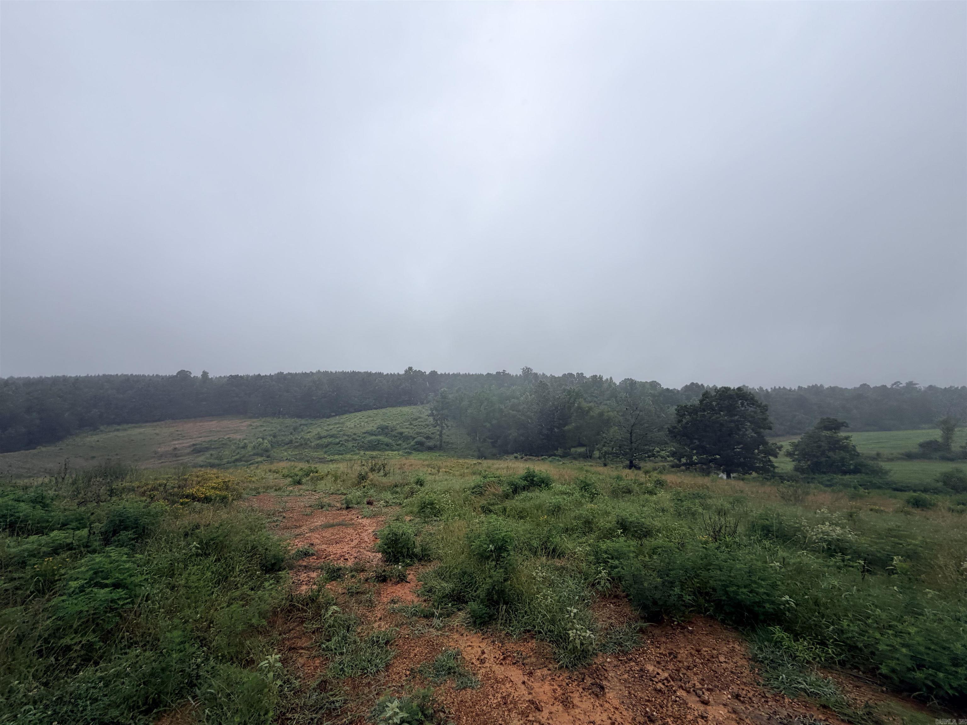 520 Frachiseur Road  Grannis, AR