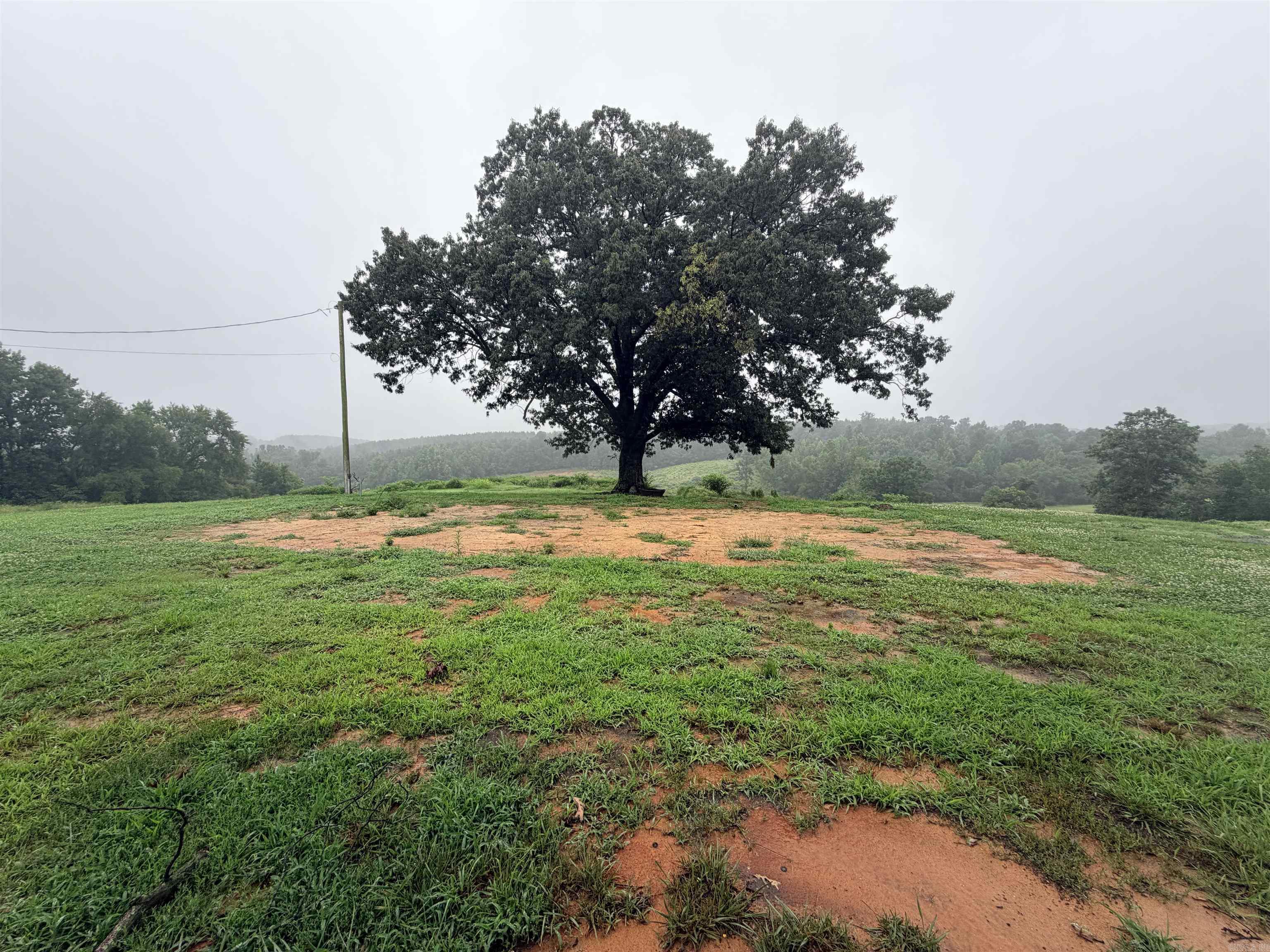 520 Frachiseur Road  Grannis, AR