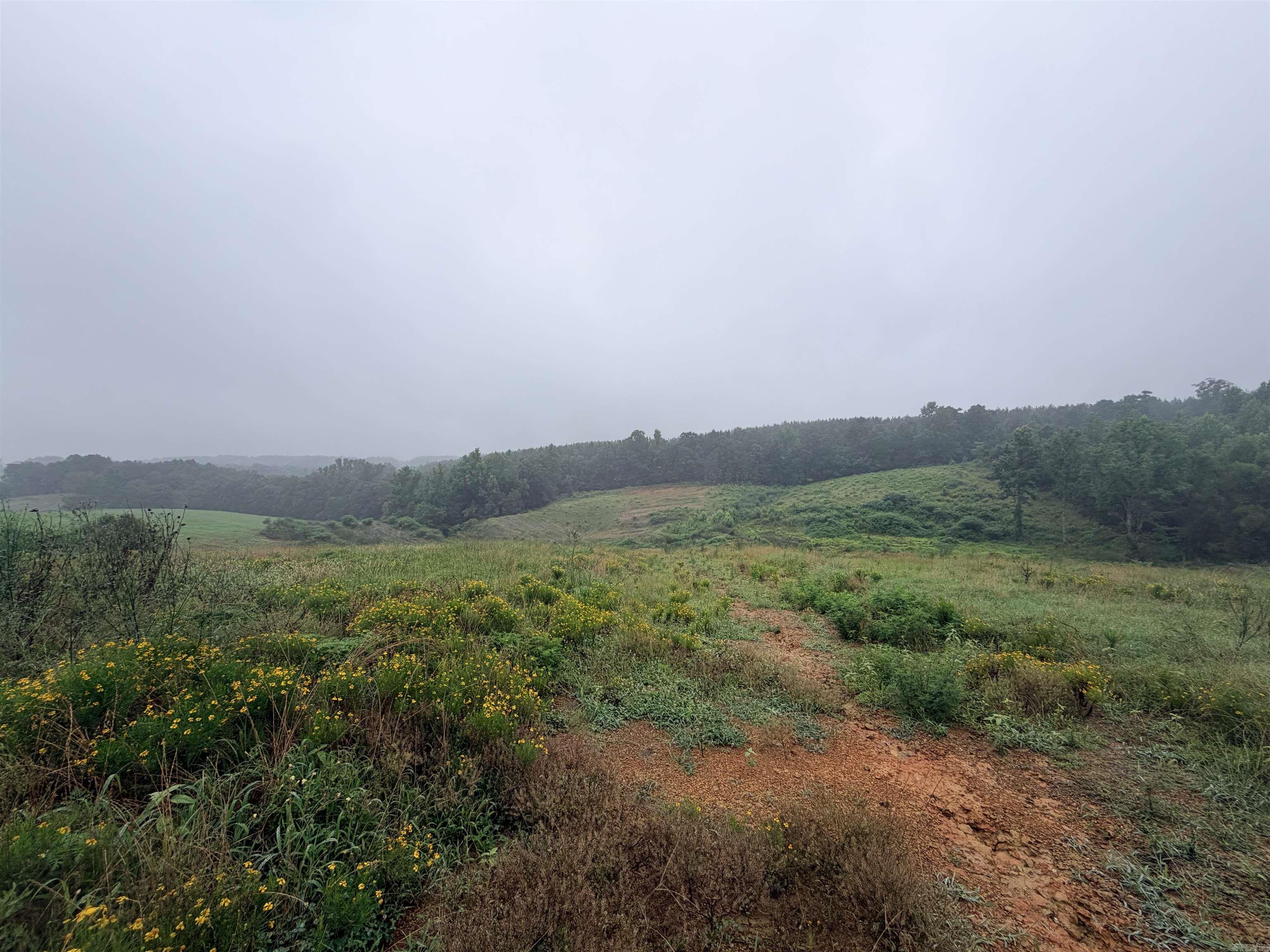 520 Frachiseur Road  Grannis, AR