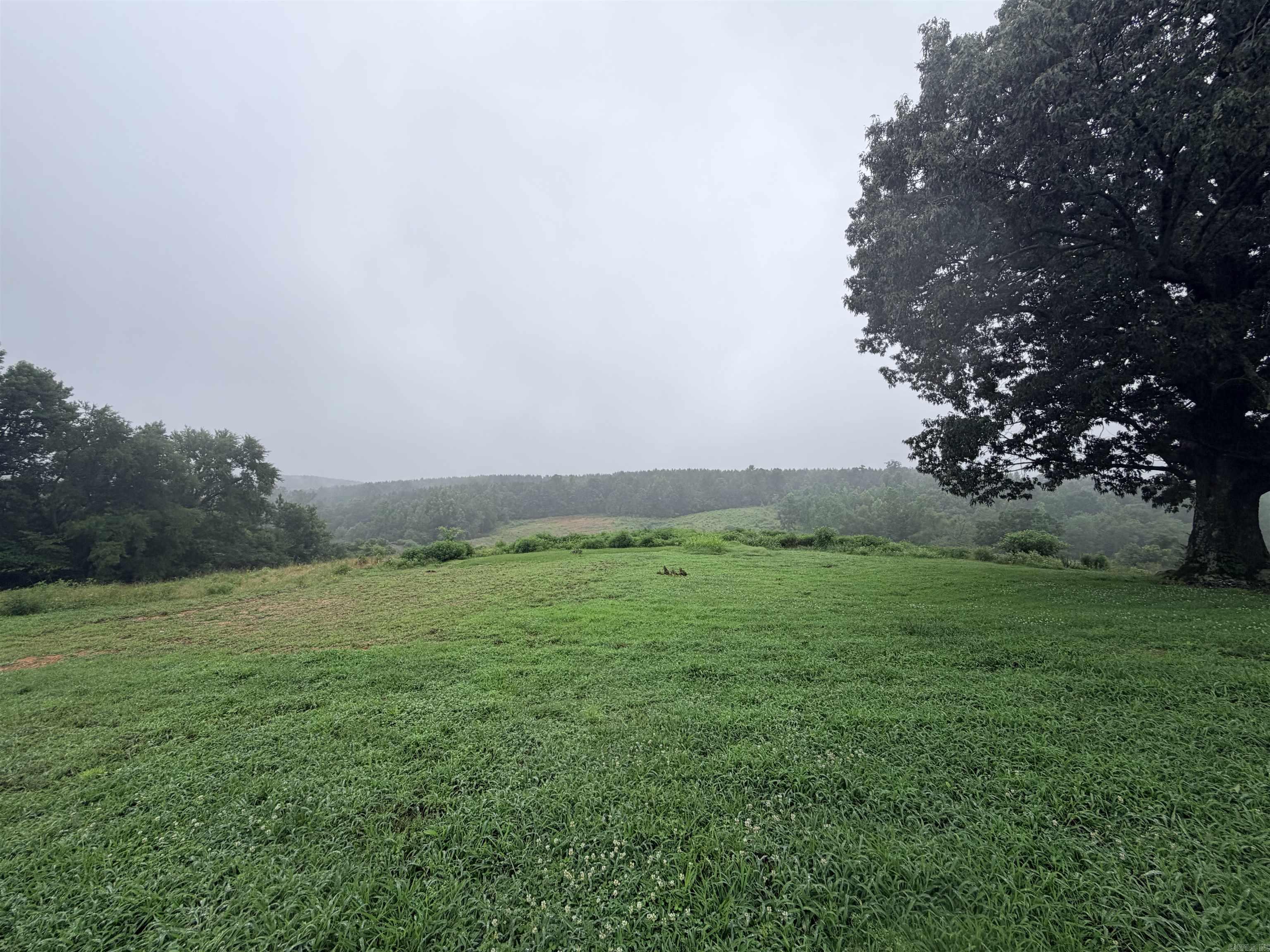 520 Frachiseur Road  Grannis, AR