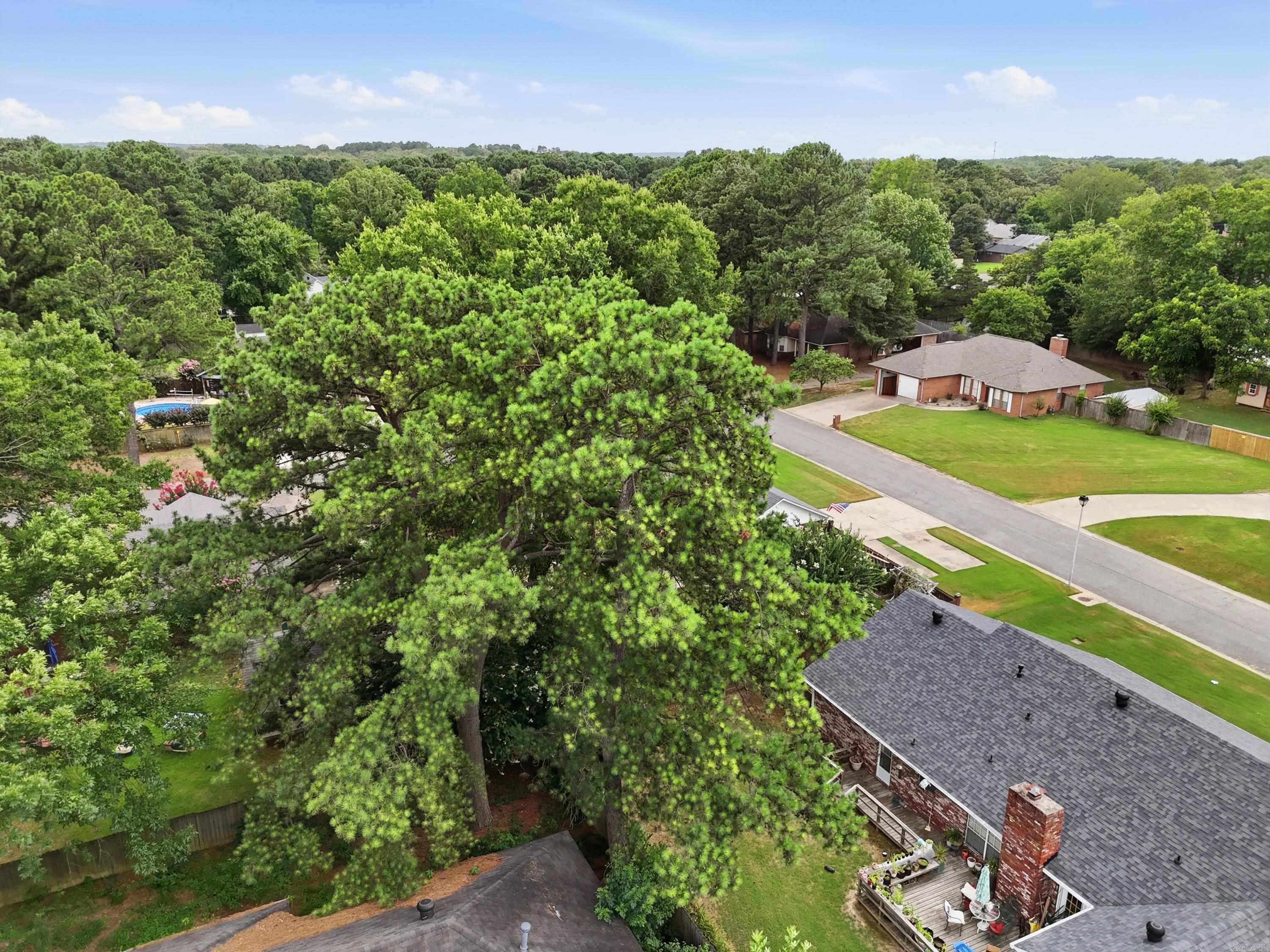 2910 Wicket  Conway, AR