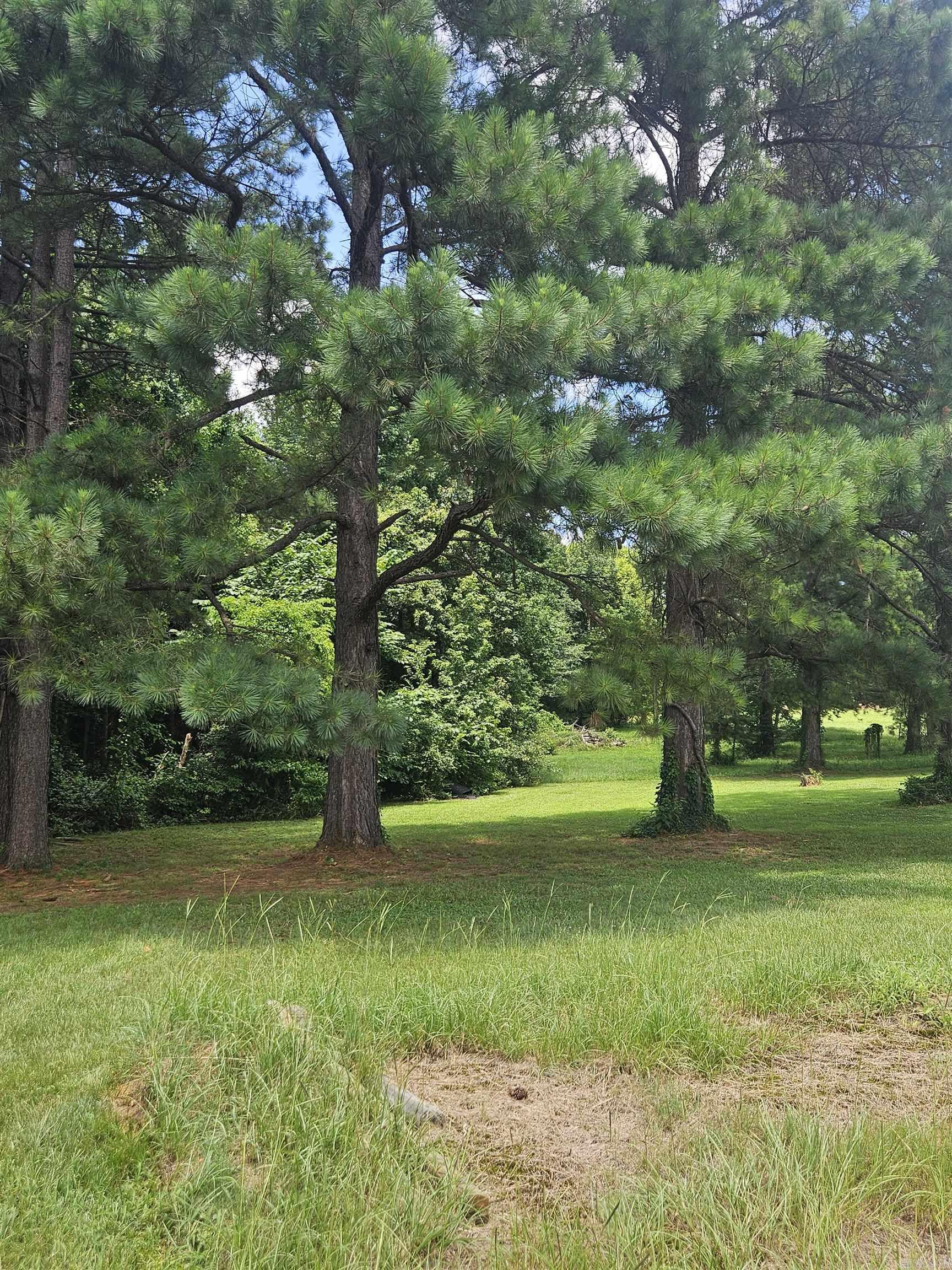 453 Westbrook  Dierks, AR