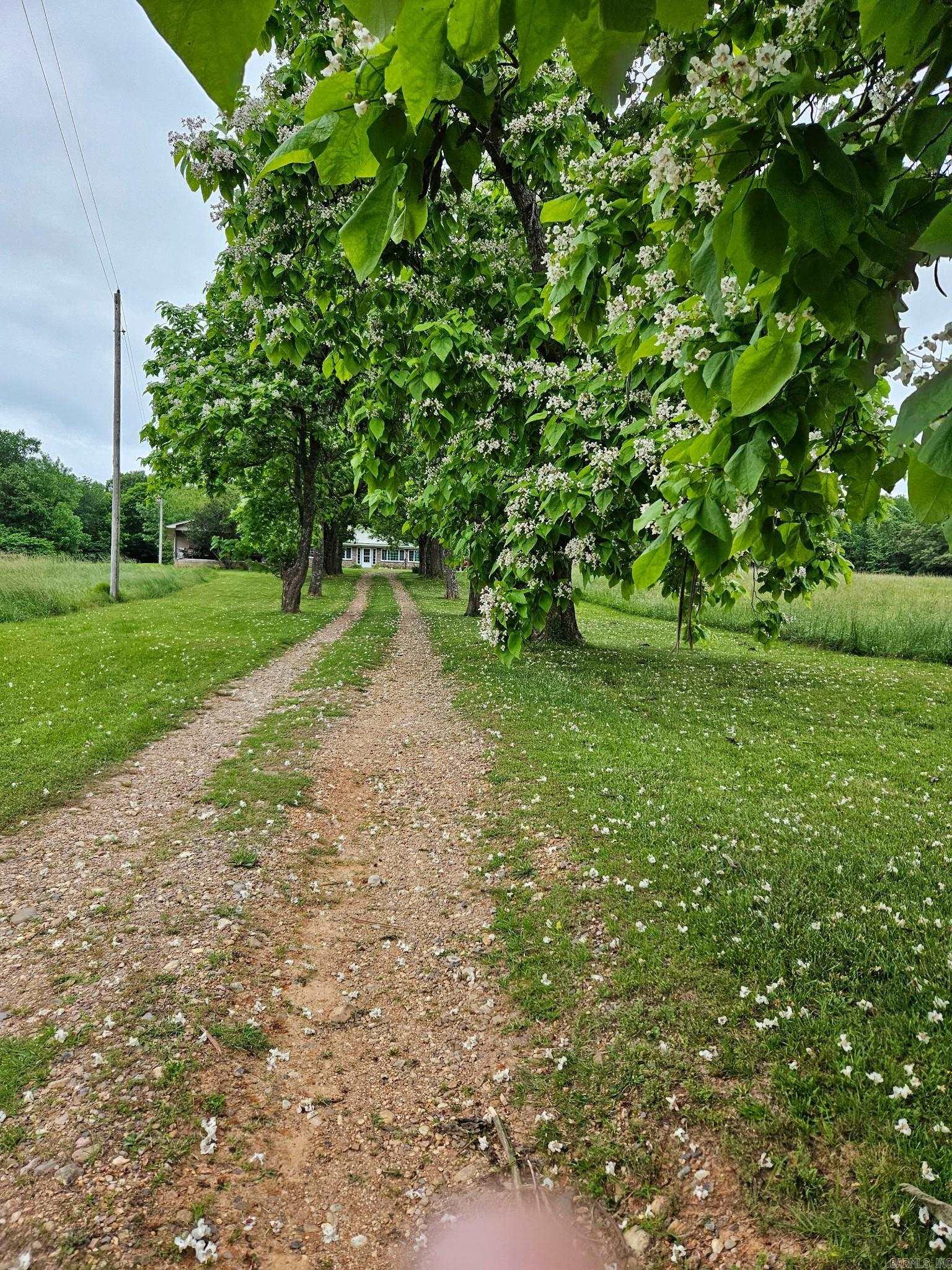 453 Westbrook  Dierks, AR