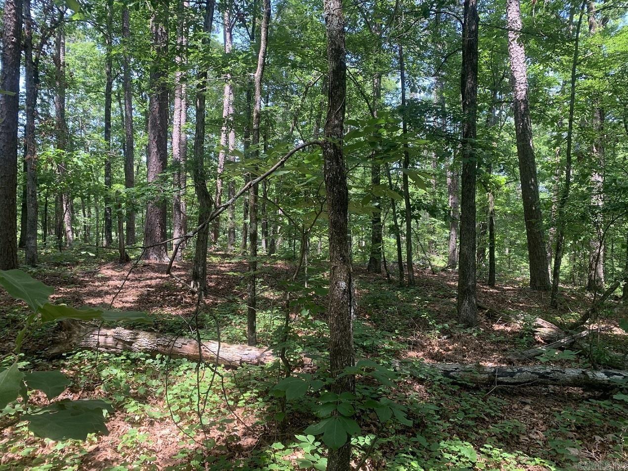 20 Montijo  Hot Springs Village, AR