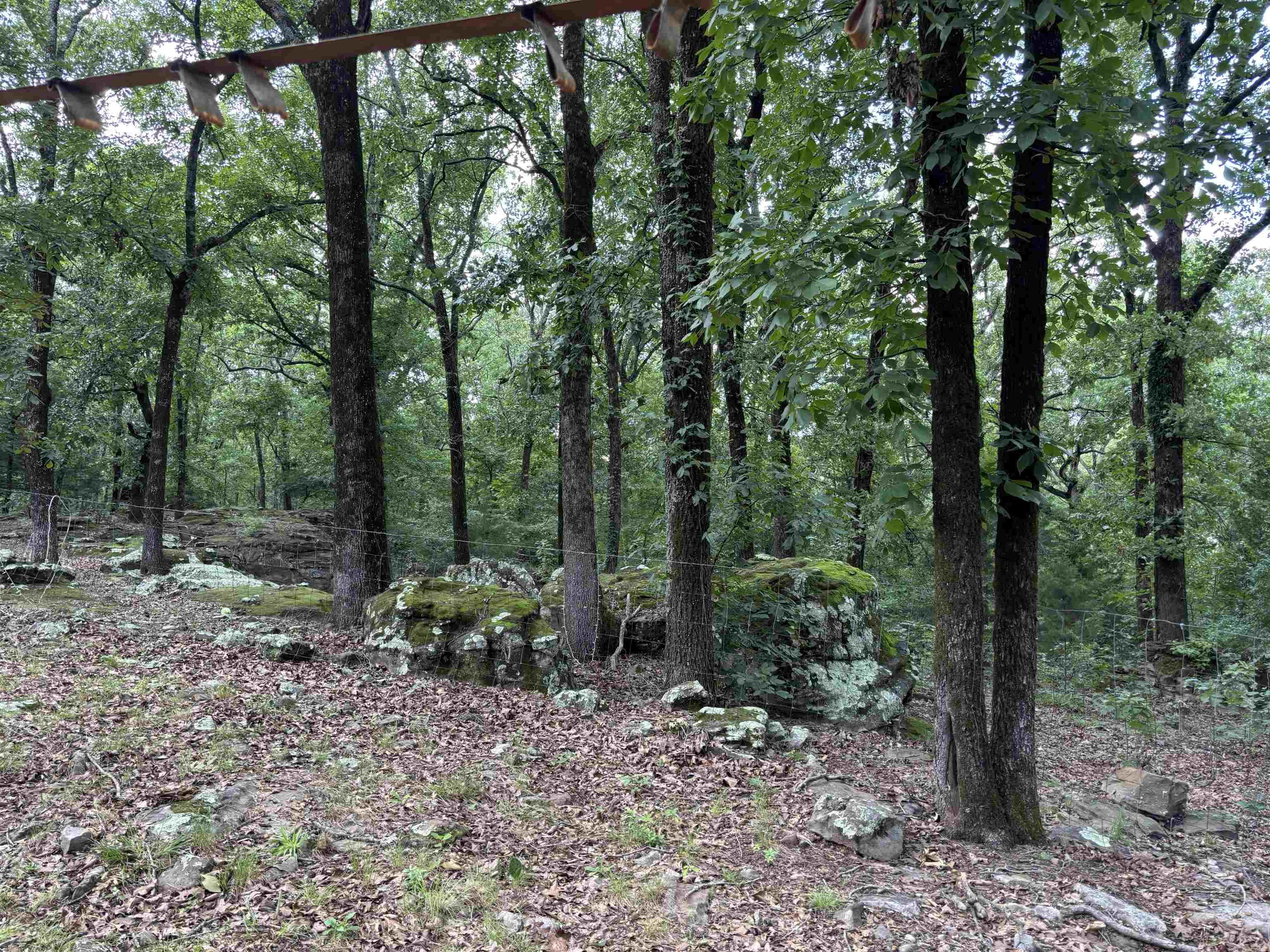 224 Peanut Ridge  McRae, AR