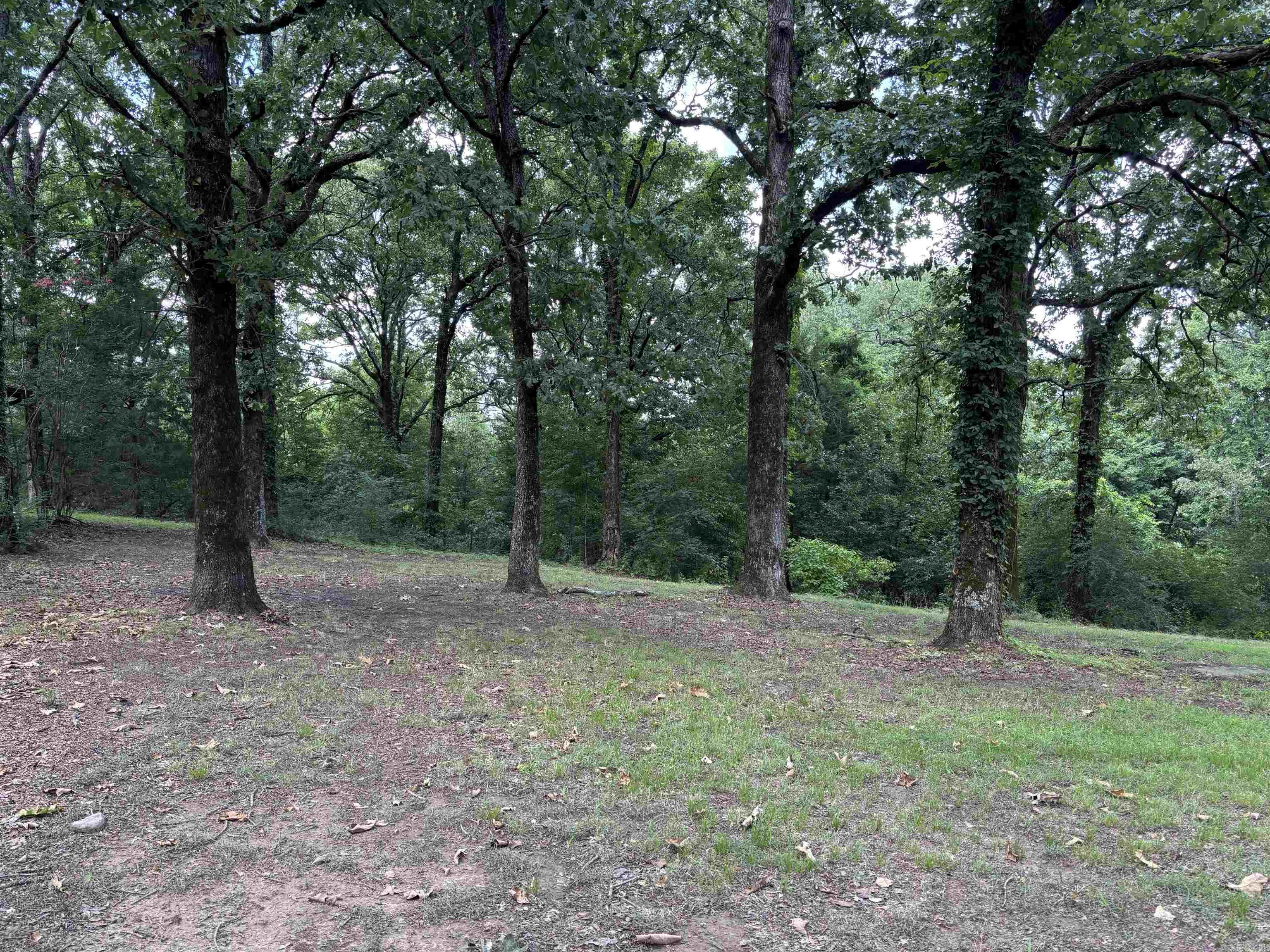 224 Peanut Ridge  McRae, AR