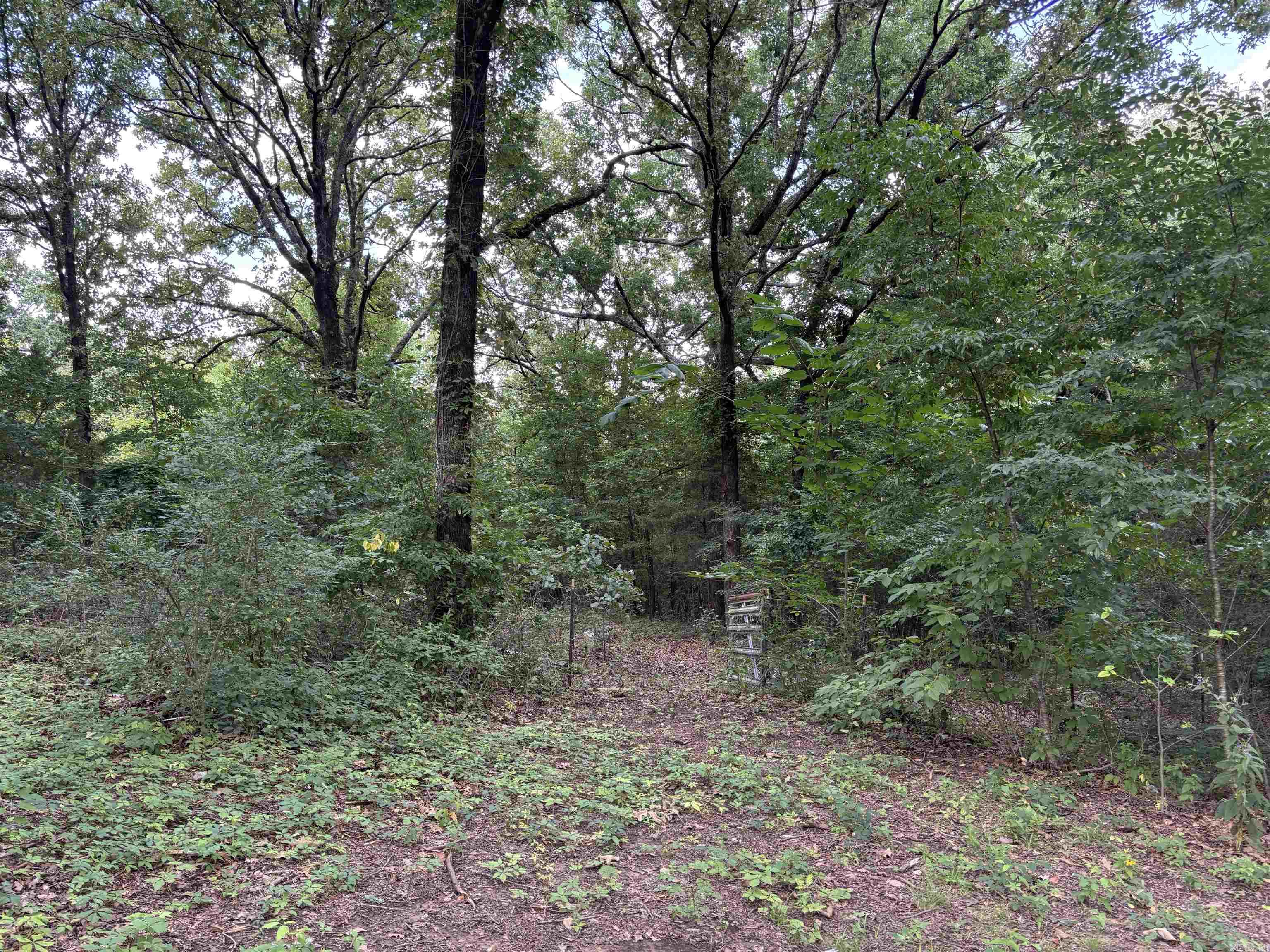 224 Peanut Ridge  McRae, AR