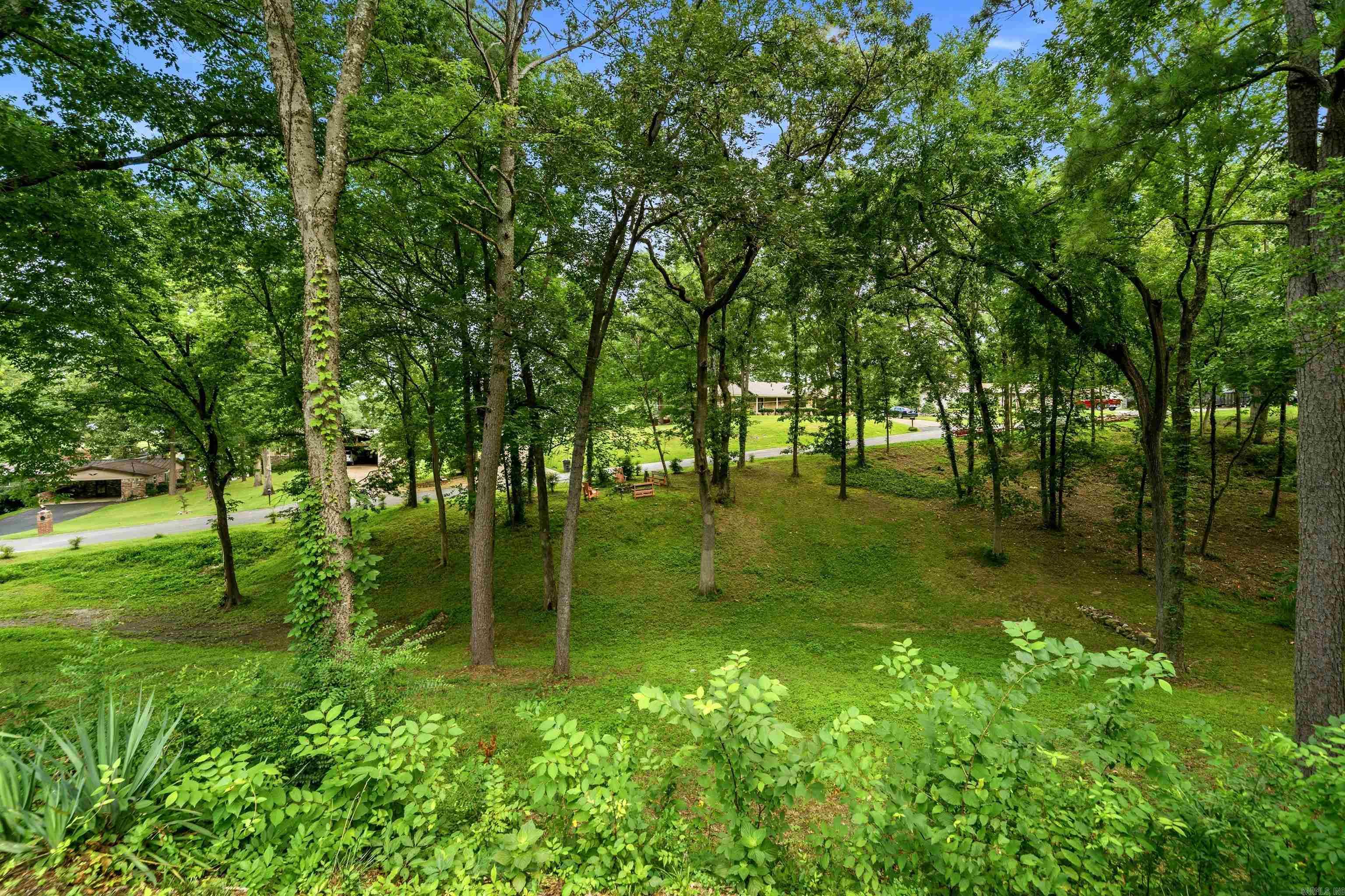 140 Halteria  Hot Springs, AR
