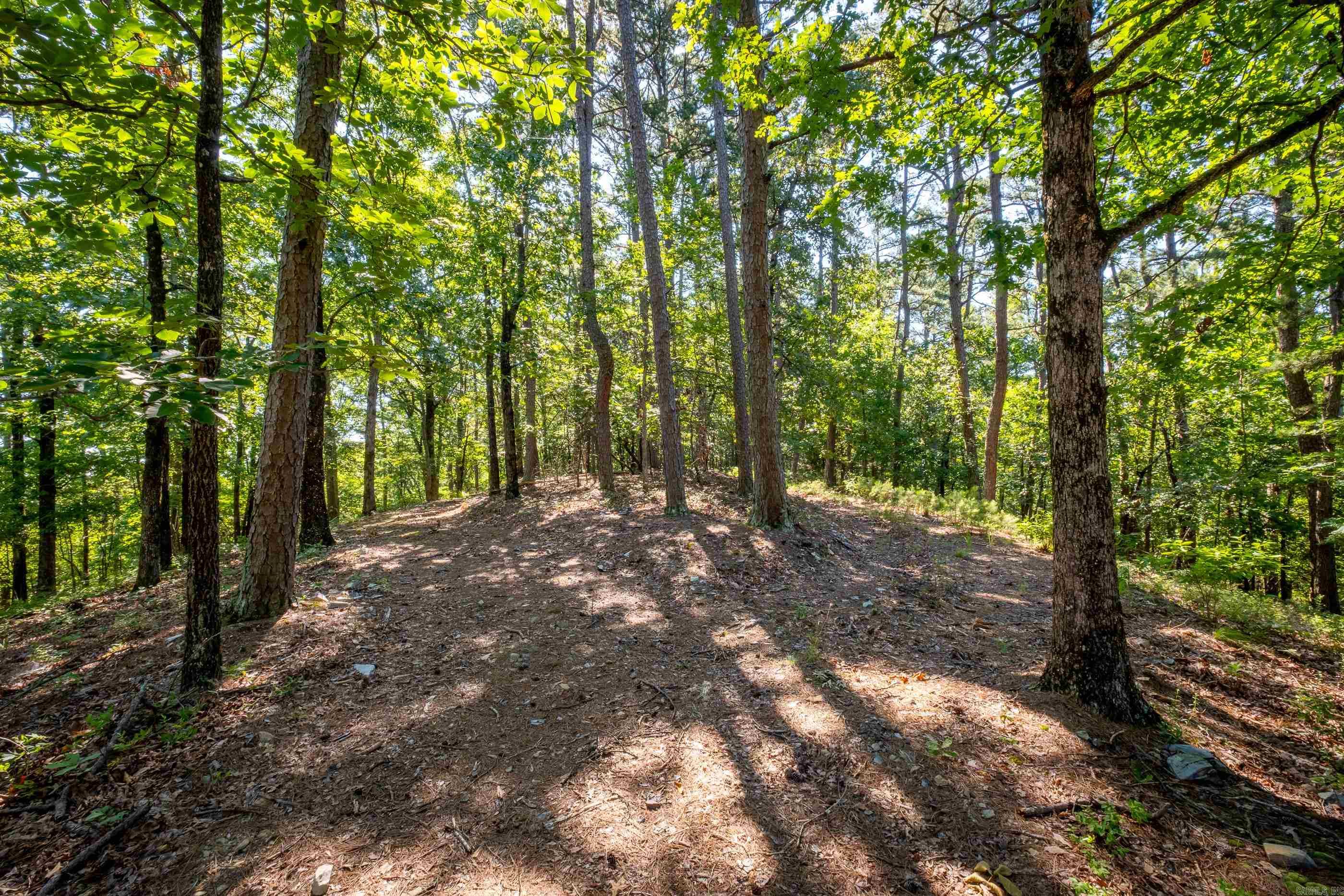 0 Burlingame Road  Little Rock, AR