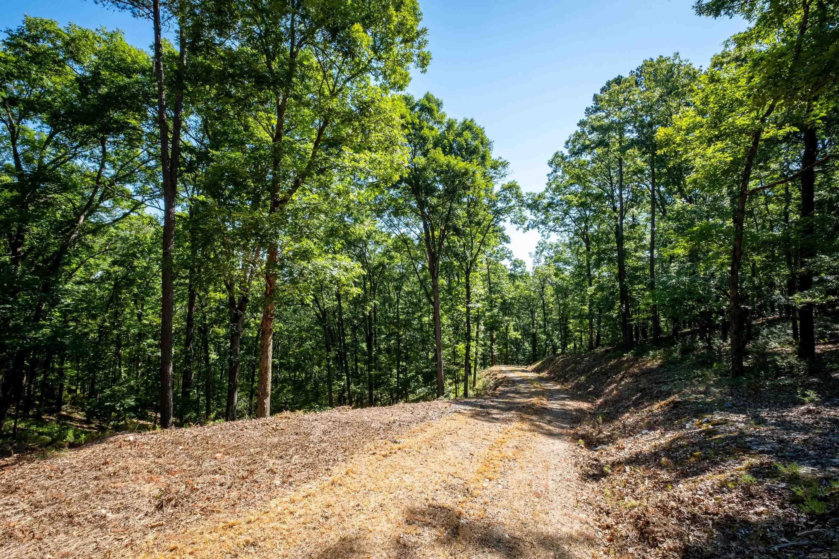 0 Burlingame Road  Little Rock, AR