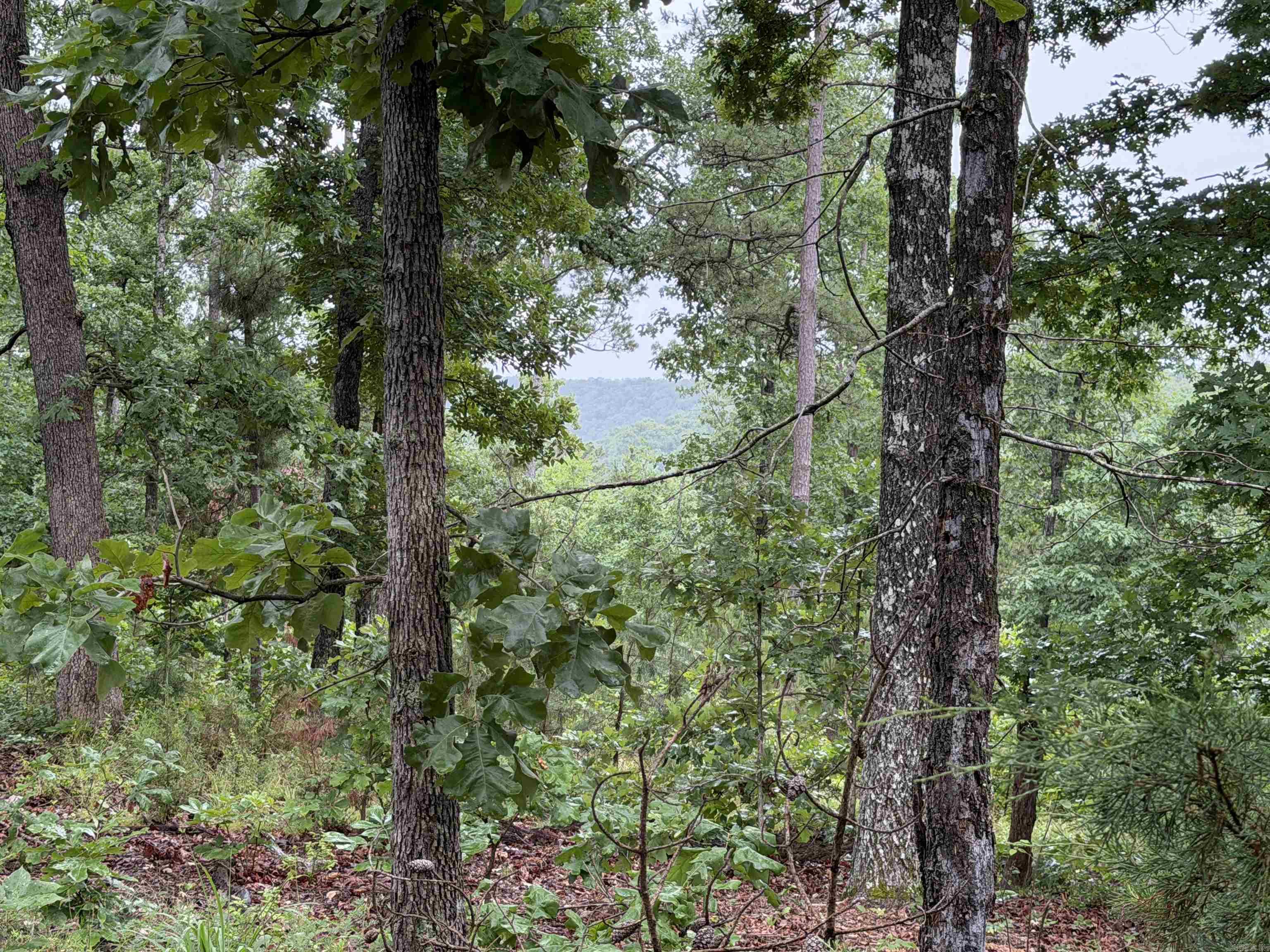 OFF OF Morgan Cave Road  Harrison, AR
