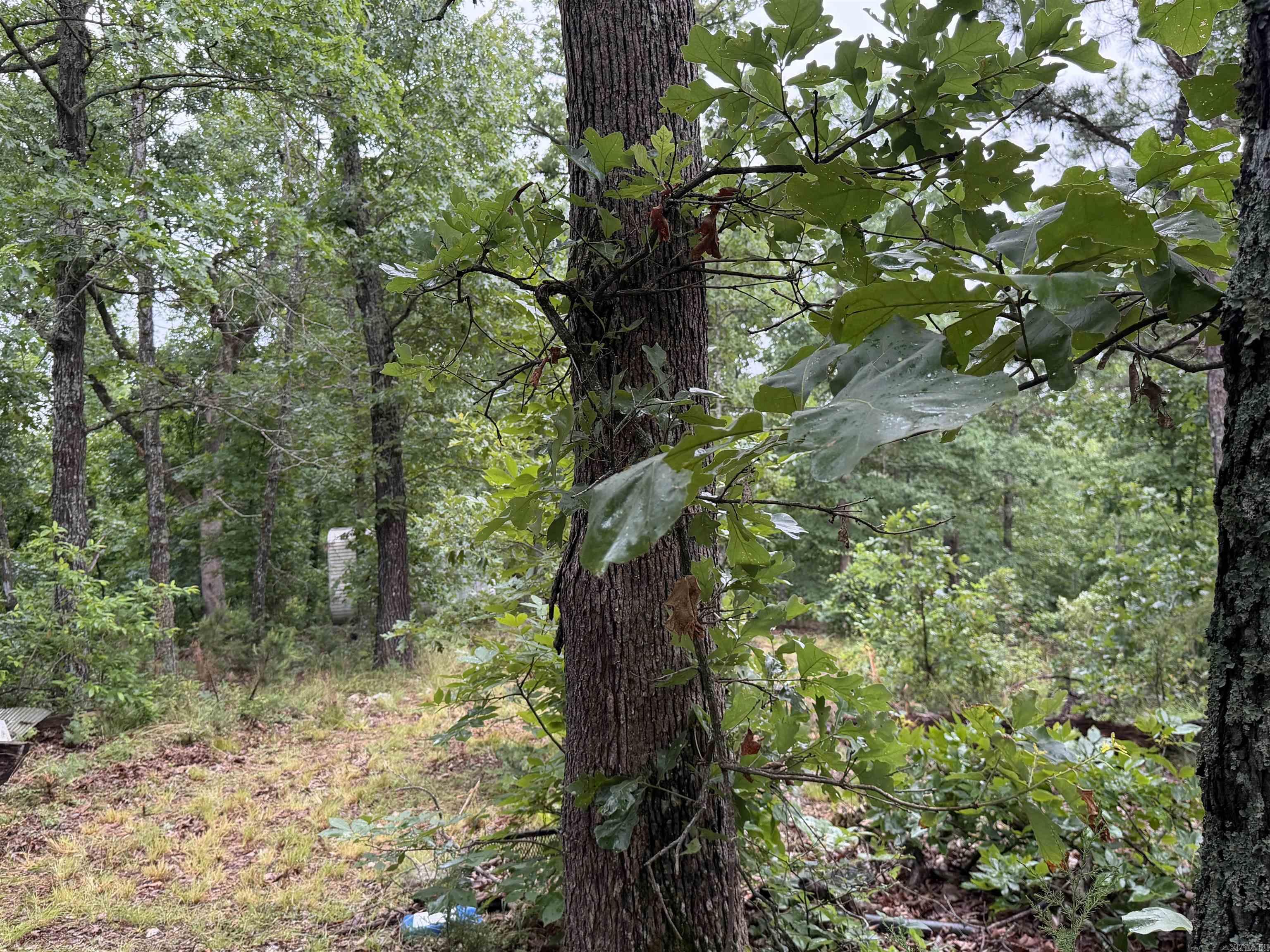OFF OF Morgan Cave Road  Harrison, AR