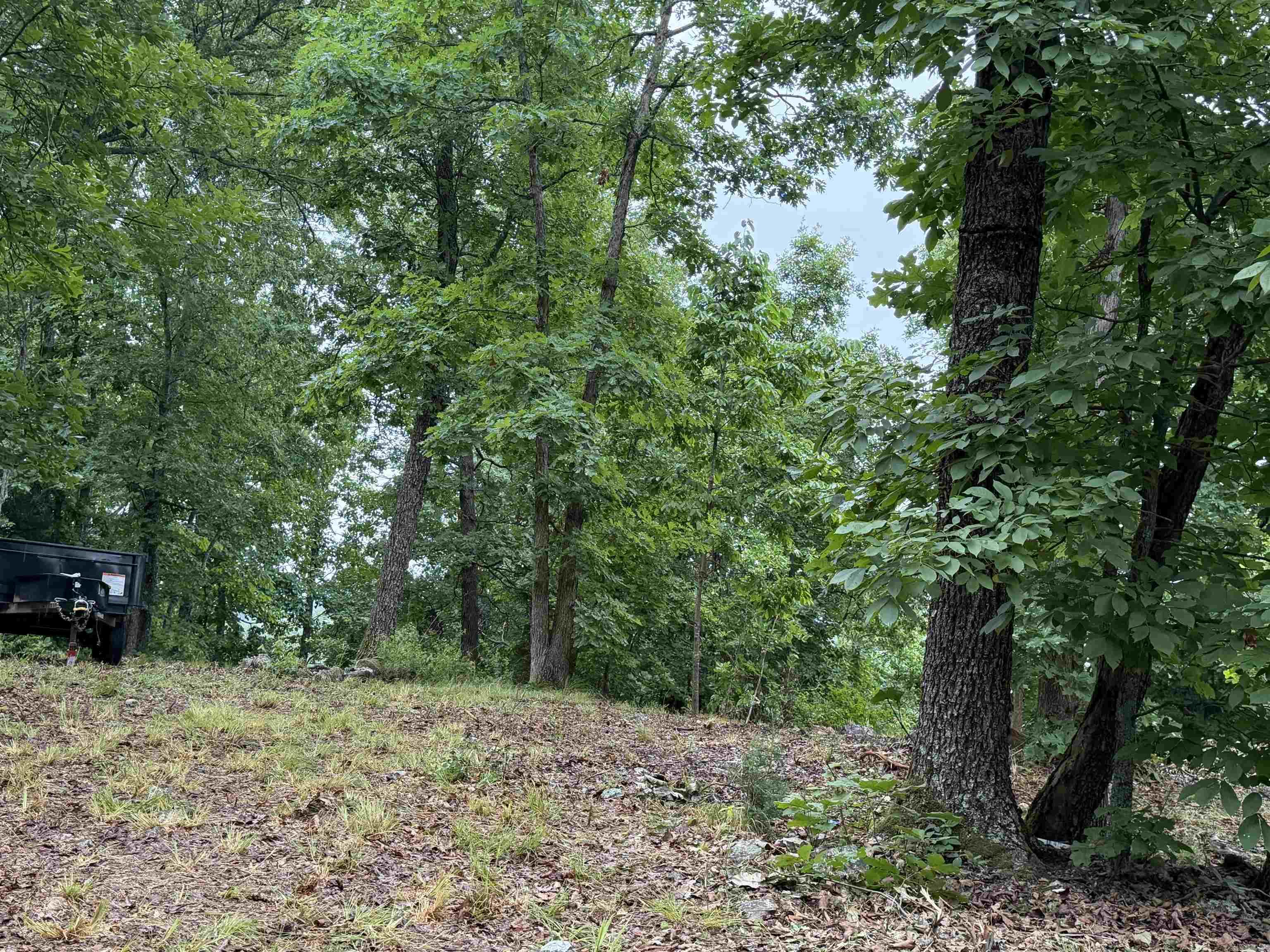 OFF OF Morgan Cave Road  Harrison, AR