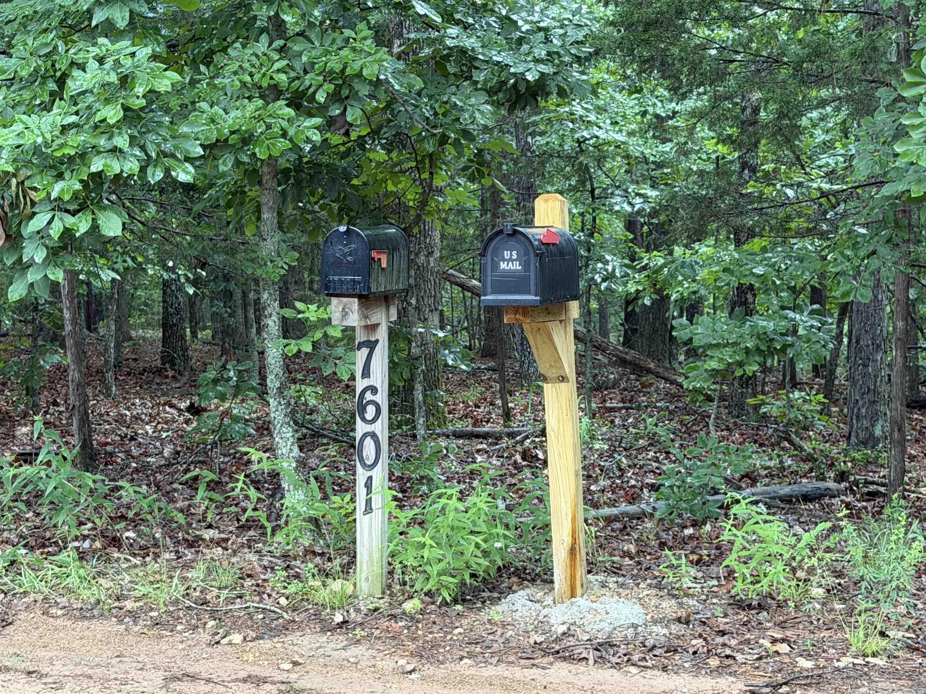 OFF OF Morgan Cave Road  Harrison, AR