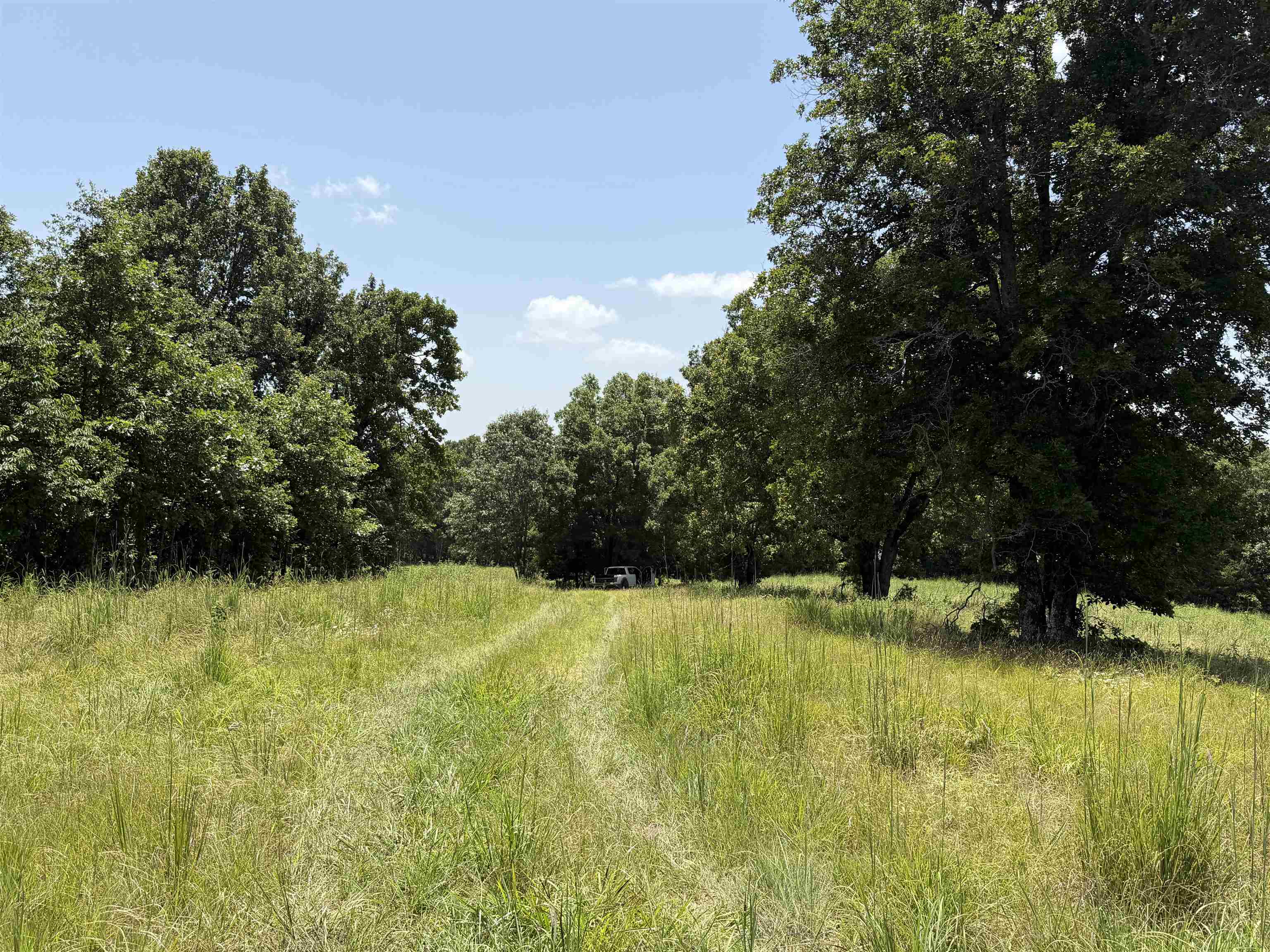 128 Republican Road  Salem, AR