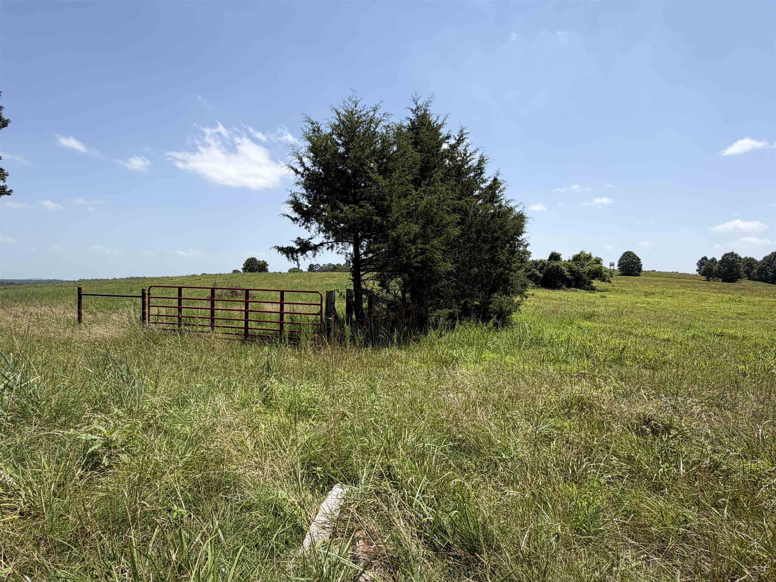 128 Republican Road  Salem, AR