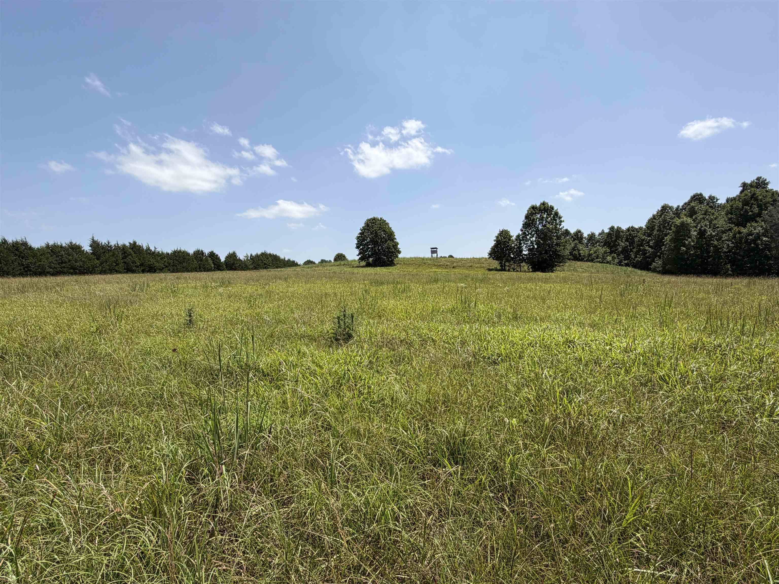 128 Republican Road  Salem, AR