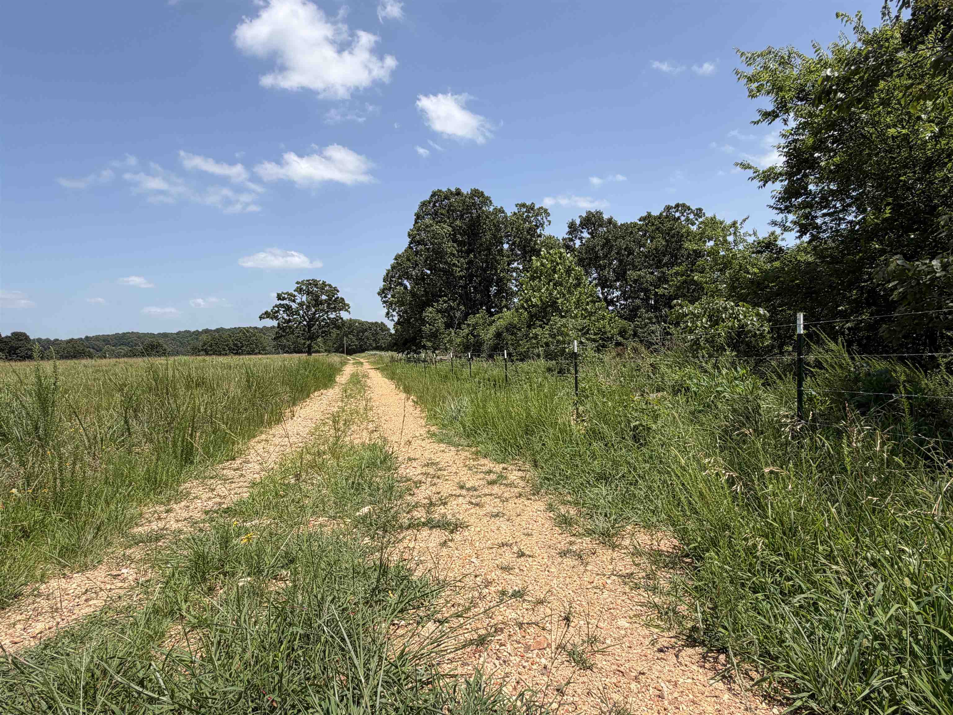 128 Republican Road  Salem, AR