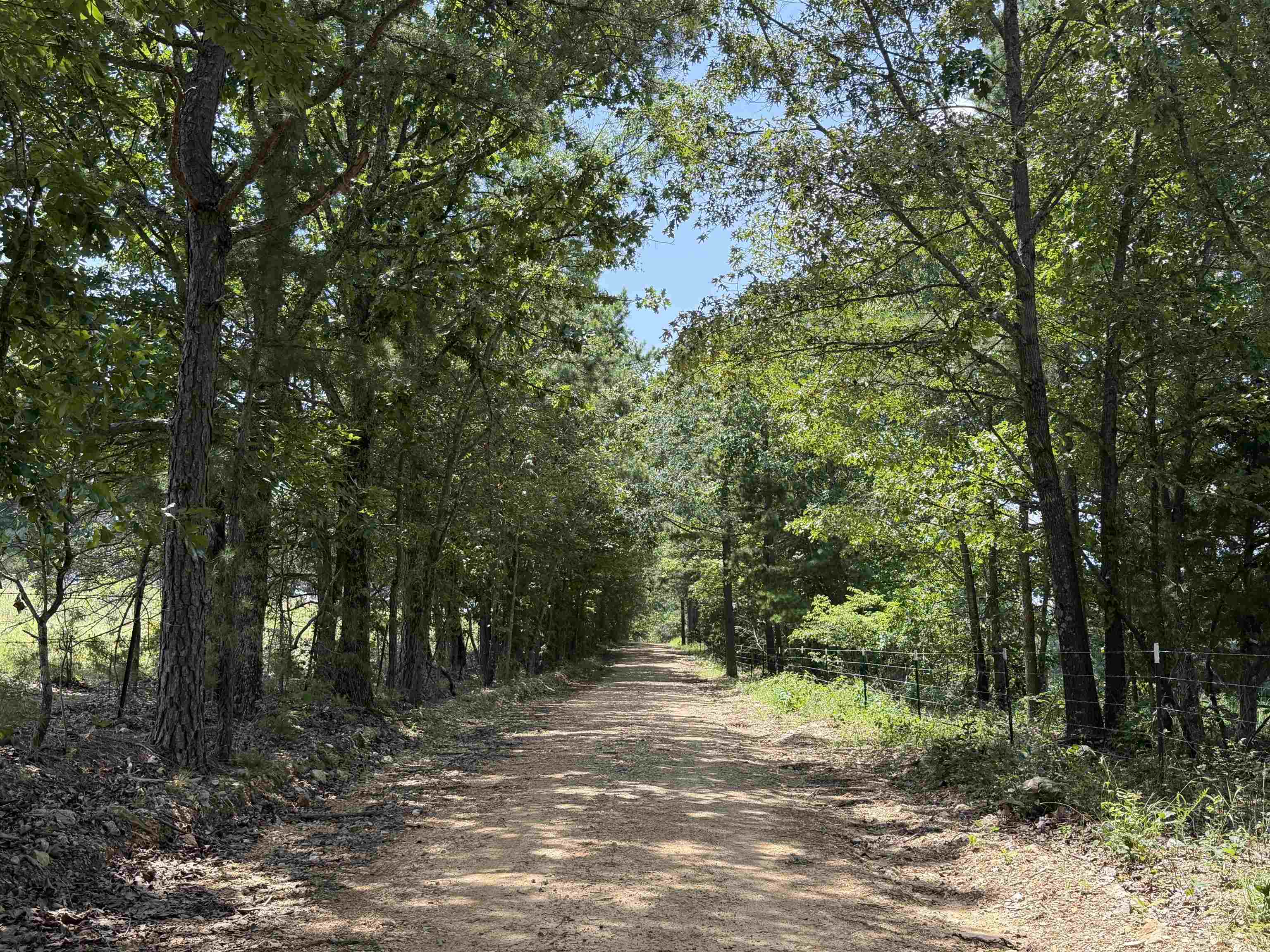 128 Republican Road  Salem, AR