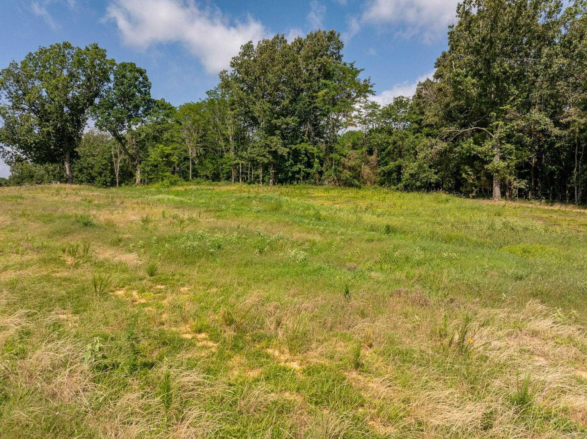 TBD Greene 324  Bono, AR