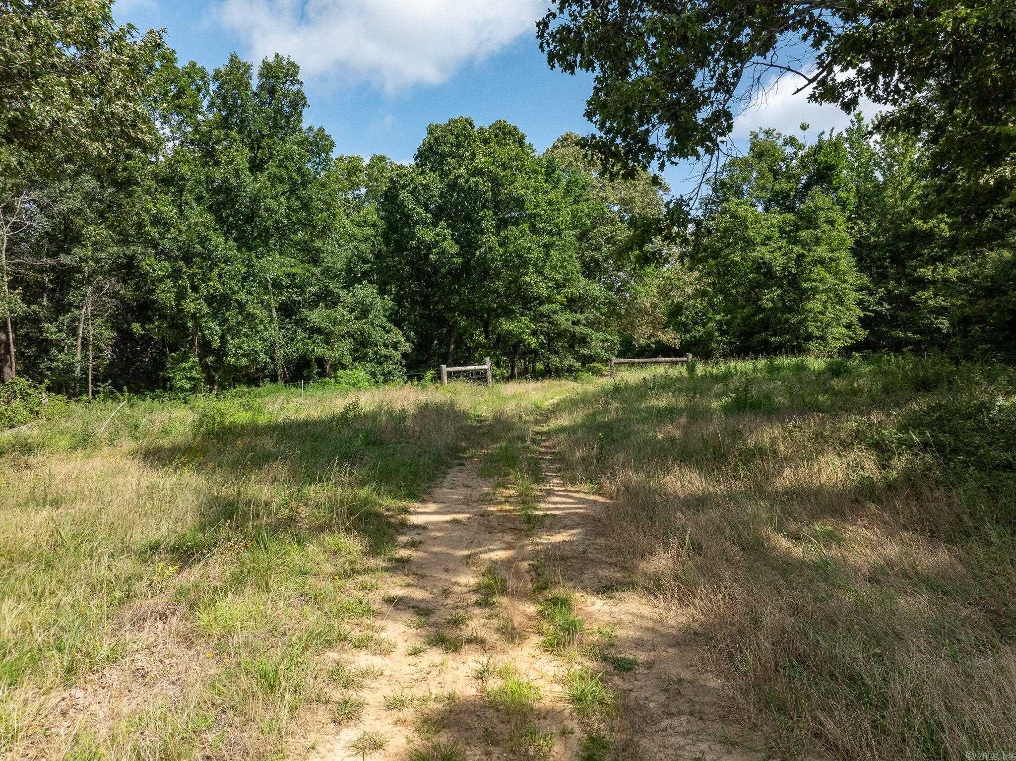 TBD Greene 324  Bono, AR