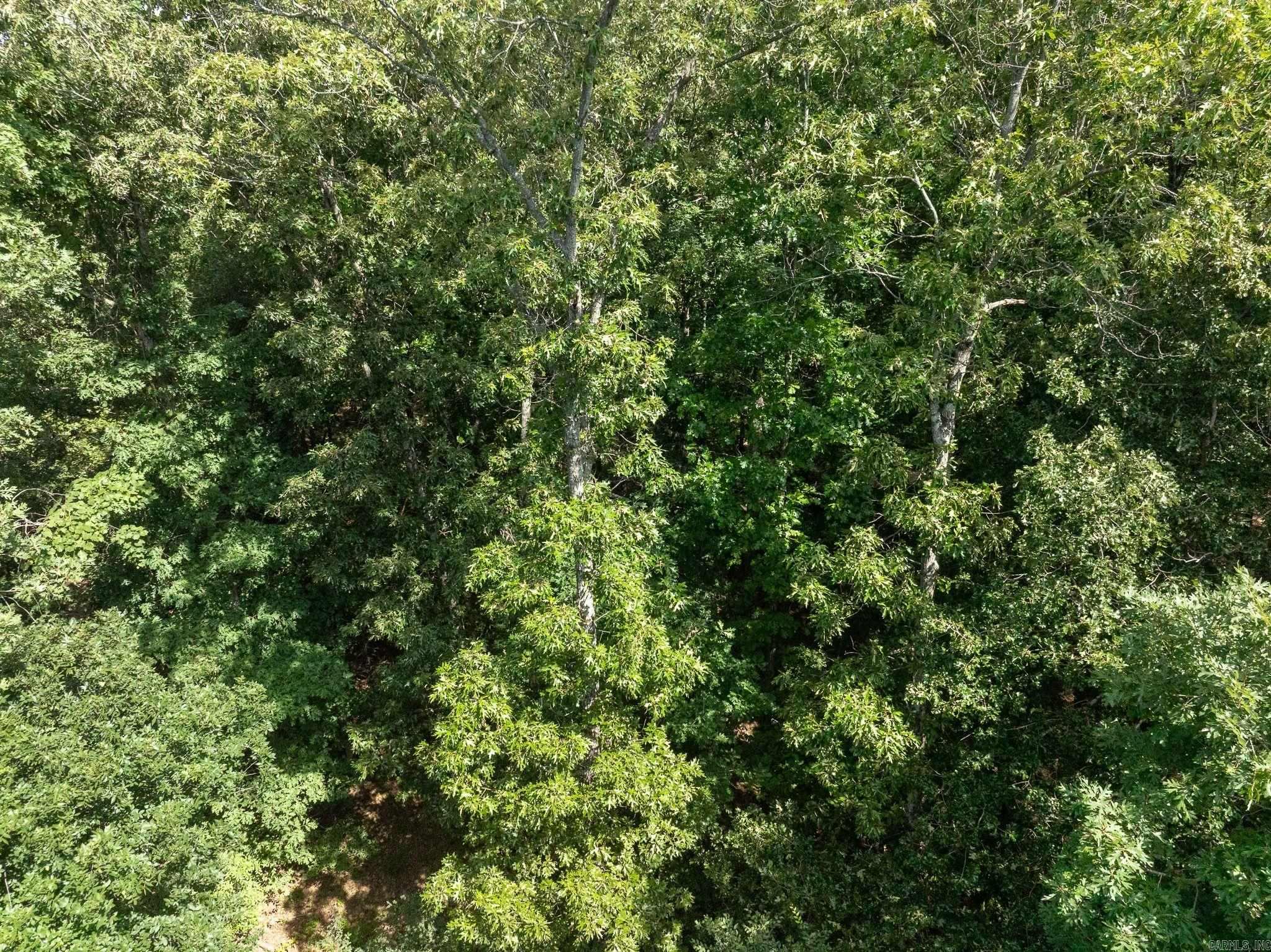 TBD Greene 324  Bono, AR