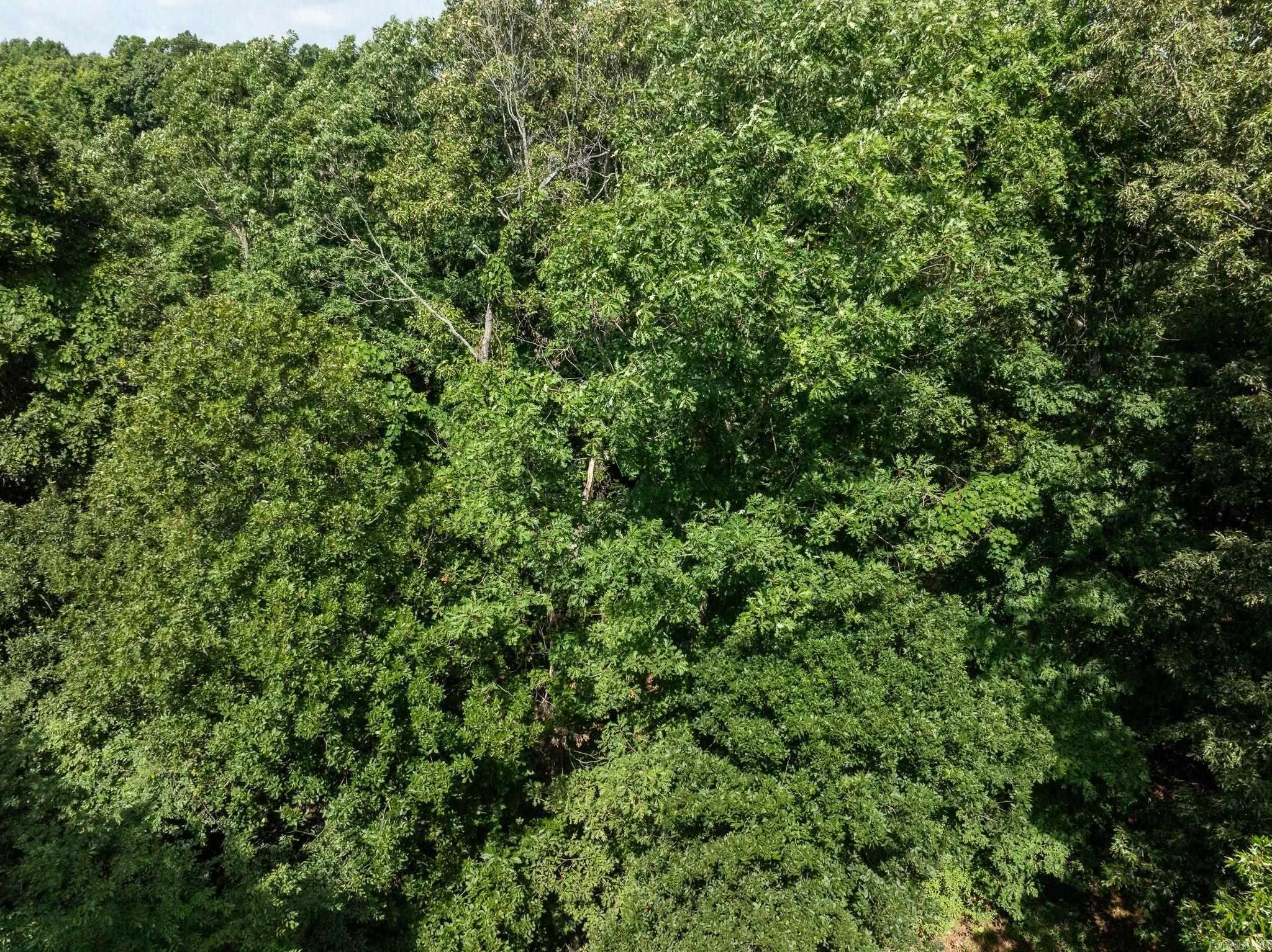 TBD Greene 324  Bono, AR