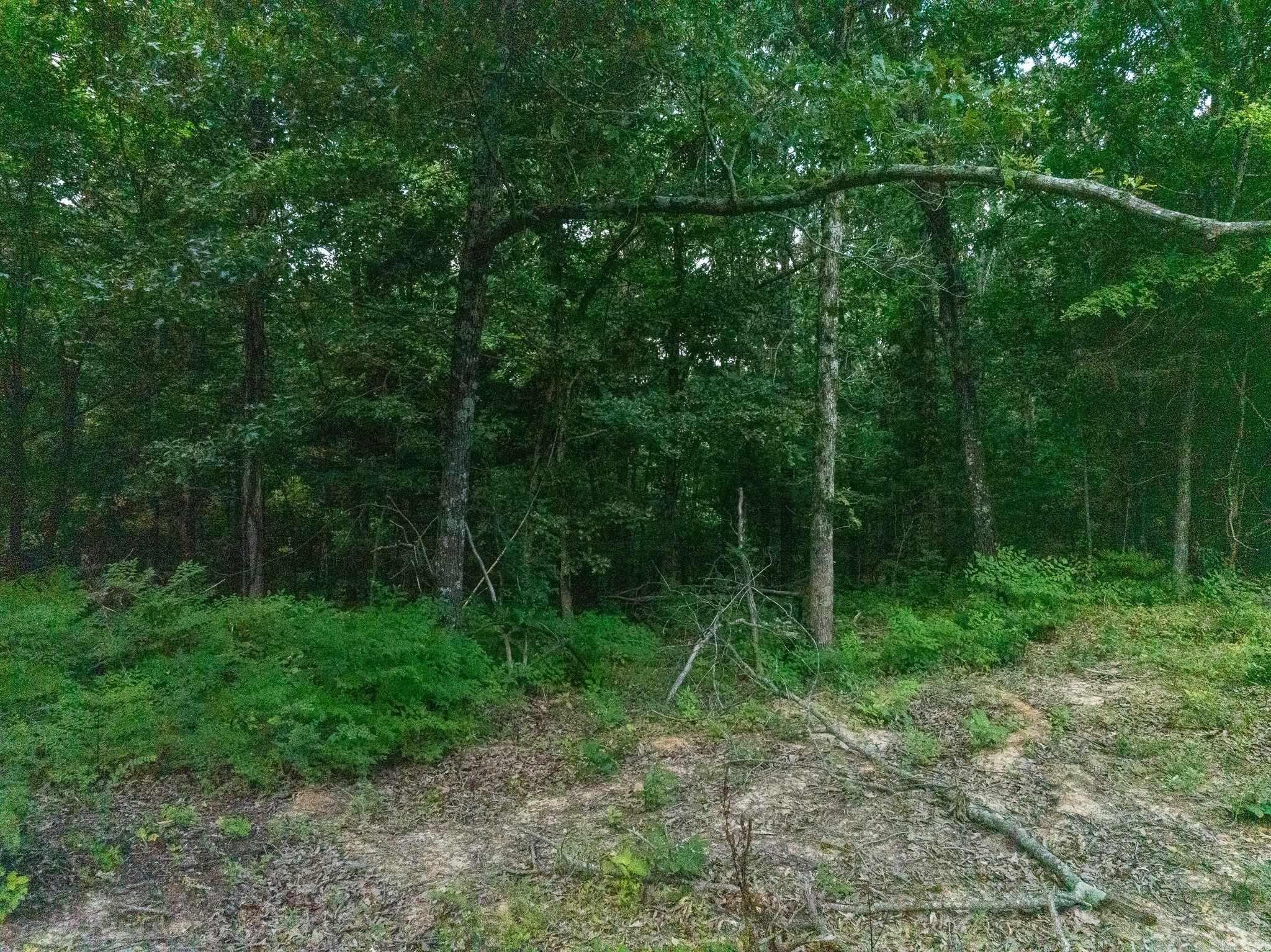 TBD Greene 324  Bono, AR