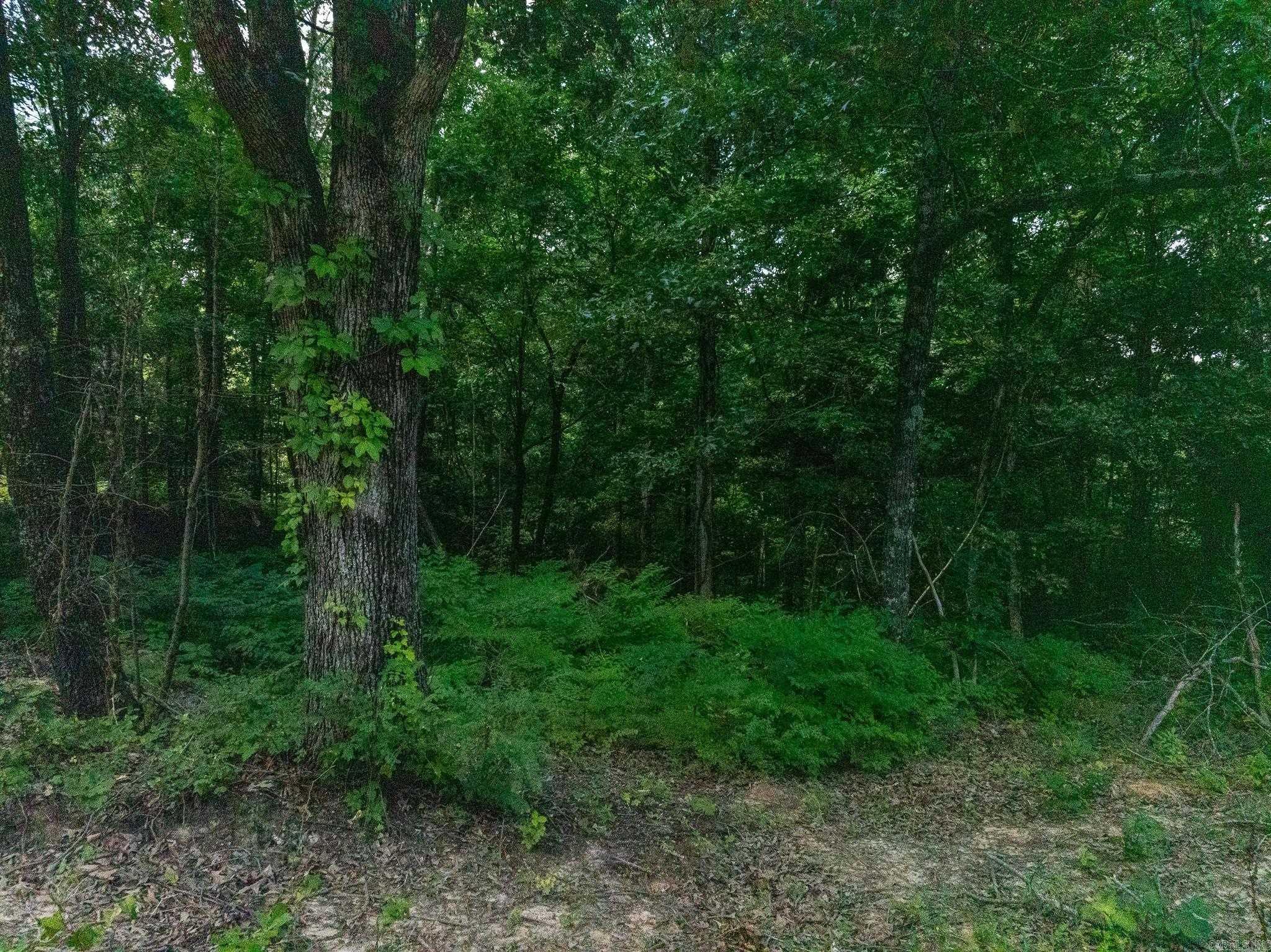 TBD Greene 324  Bono, AR
