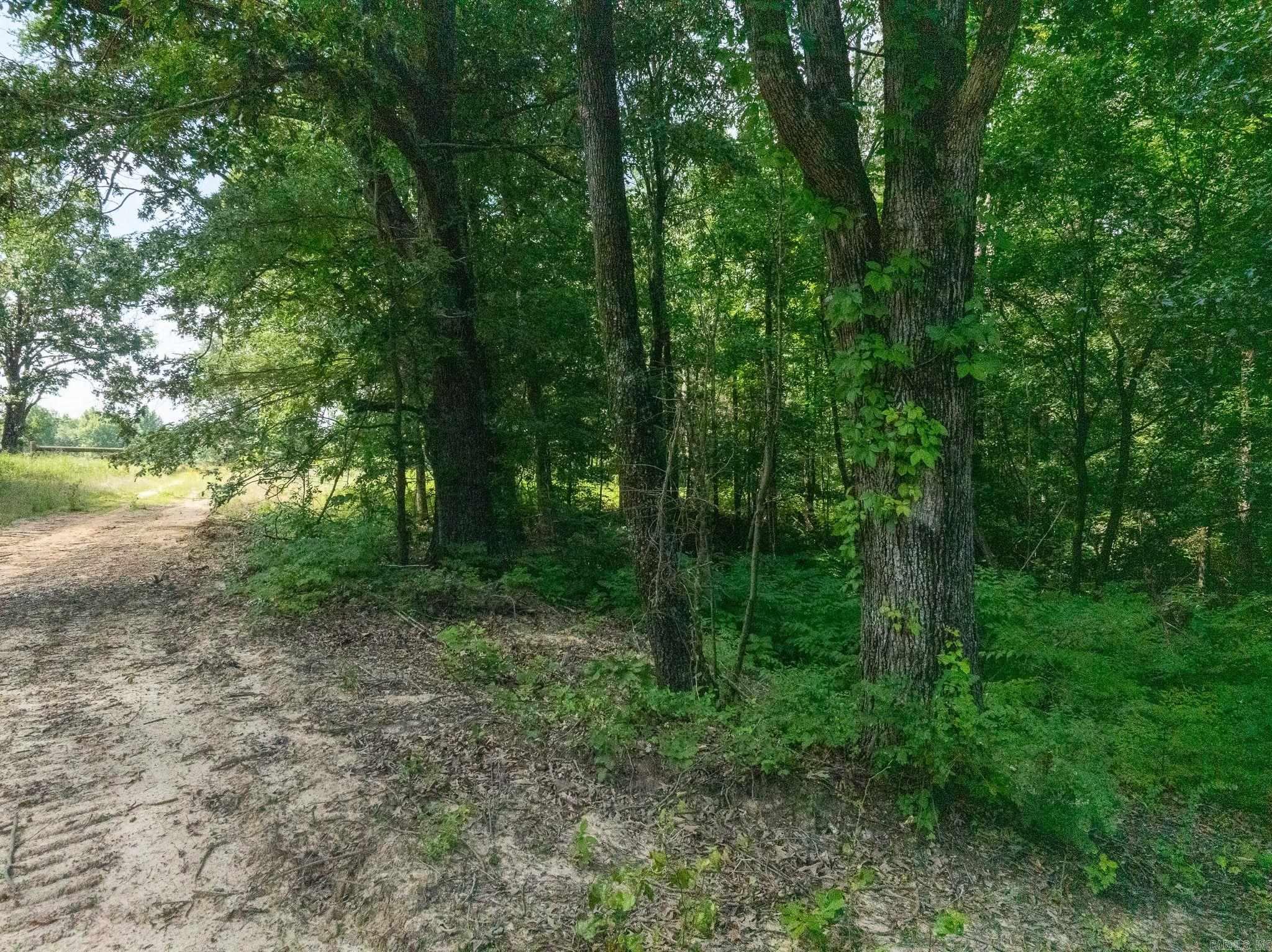 TBD Greene 324  Bono, AR